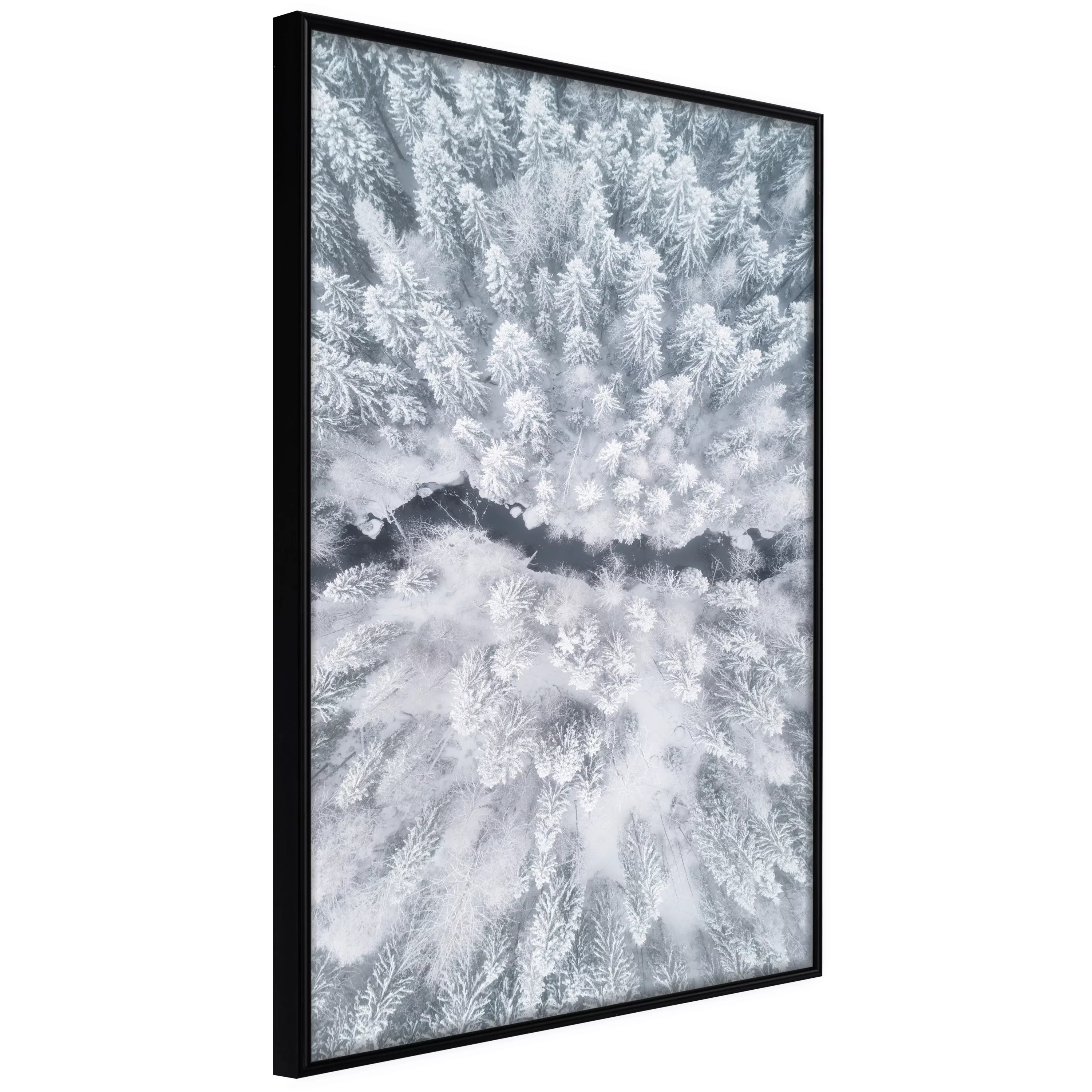 Poster - Winter Forest From A Bird's Eye View günstig online kaufen