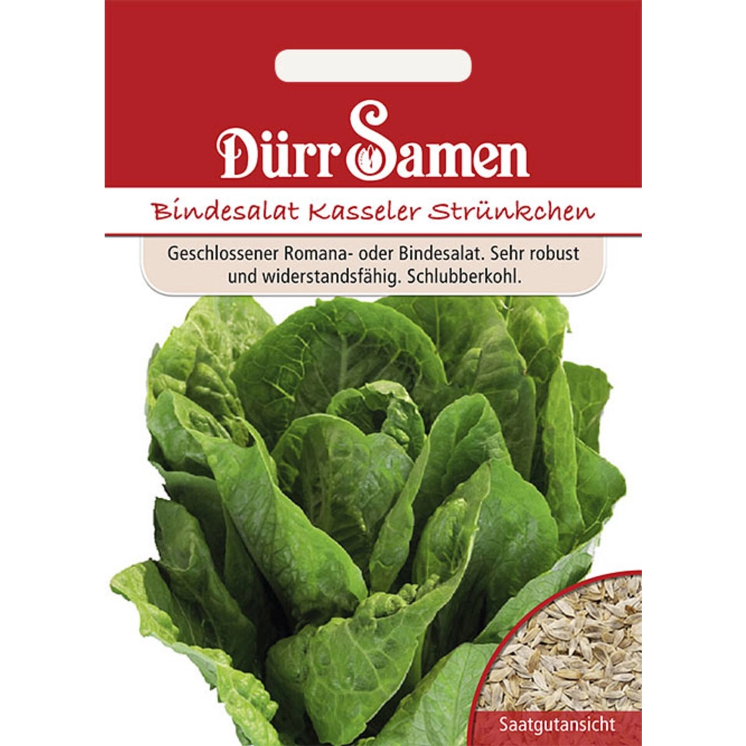 Dürr Samen Bindesalat Kasseler Strünkchen Saatgut günstig online kaufen