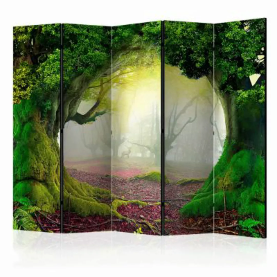 artgeist Paravent Enchanted forest II [Room Dividers] mehrfarbig Gr. 225 x günstig online kaufen