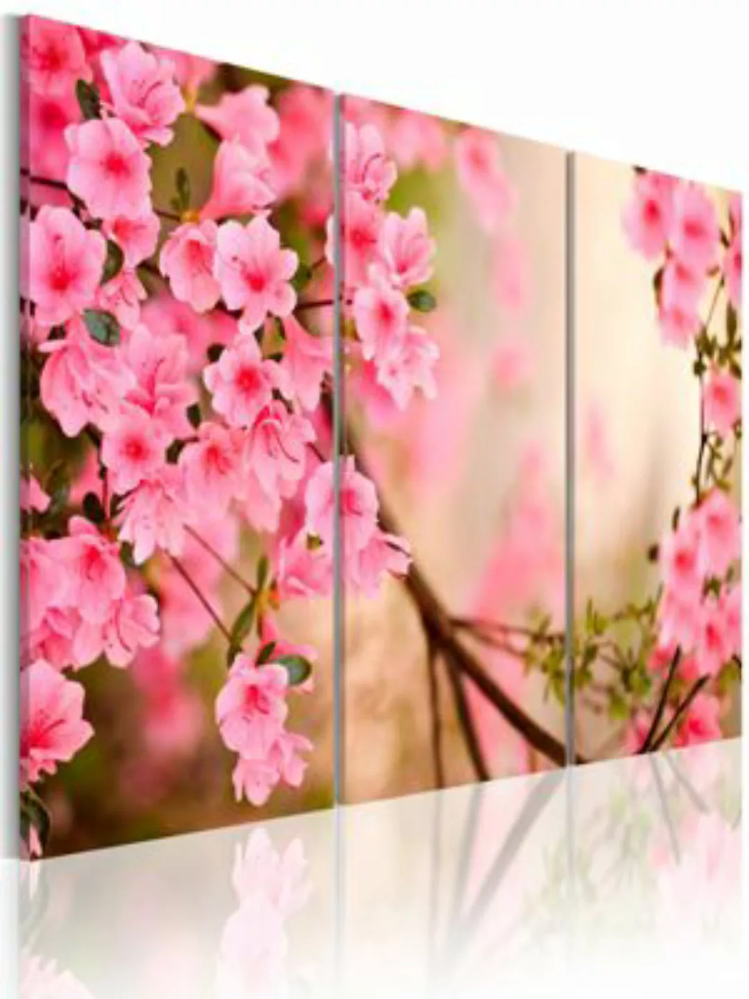 artgeist Wandbild Winzige Kirchblüten rosa/grün Gr. 60 x 40 günstig online kaufen