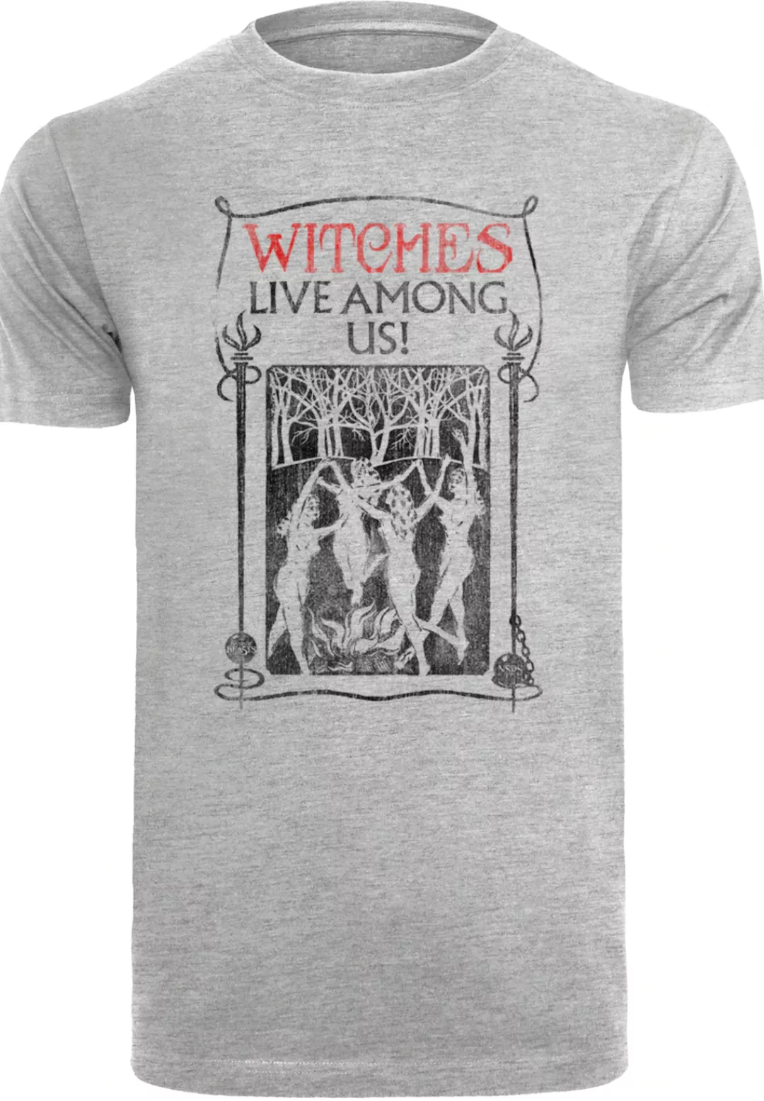F4NT4STIC T-Shirt "Phantastische Tierwesen Witches Live Among Us", Print günstig online kaufen