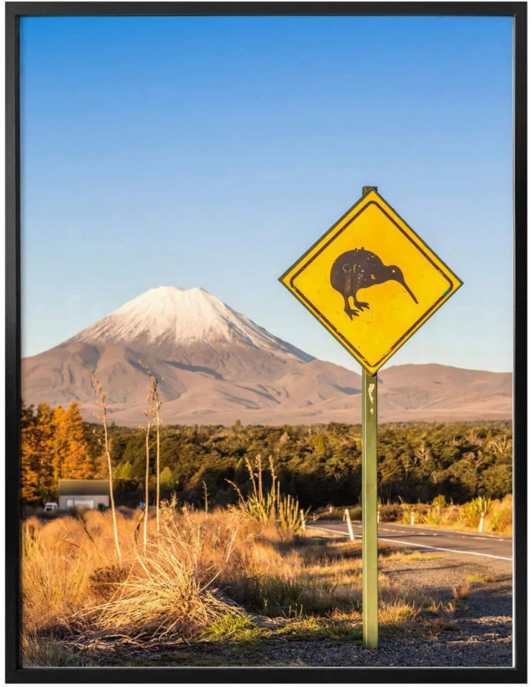 Wall-Art Poster »Straßenschild Achtung Kiwi«, Schriftzug, (1 St.), Poster o günstig online kaufen