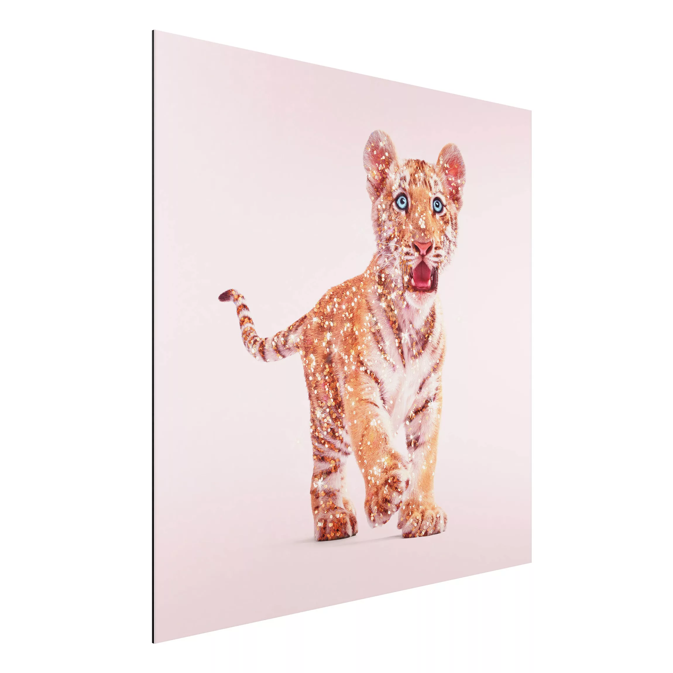 Alu-Dibond Bild Kunstdruck - Quadrat Tiger mit Glitzer günstig online kaufen