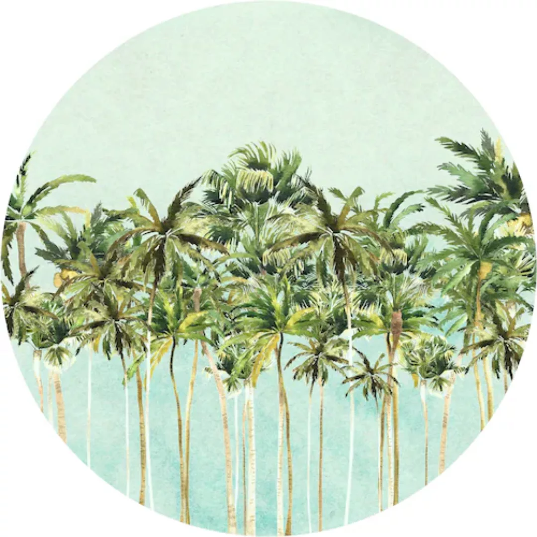 KOMAR Selbstklebende Vlies Fototapete/Wandtattoo - Coconut Trees - Größe 12 günstig online kaufen