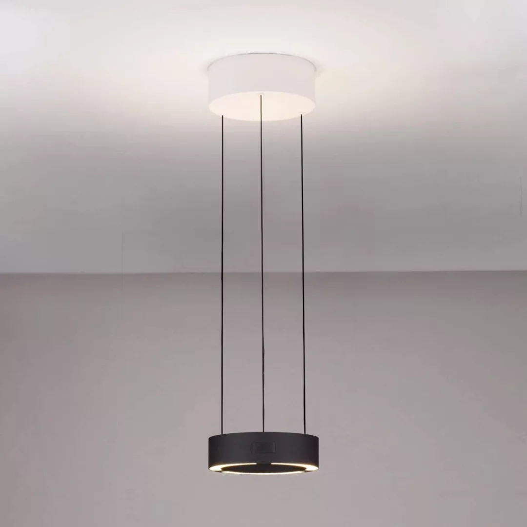 LED Pendelleuchte Afi in Schwarz und Weiß 24W 1712lm günstig online kaufen