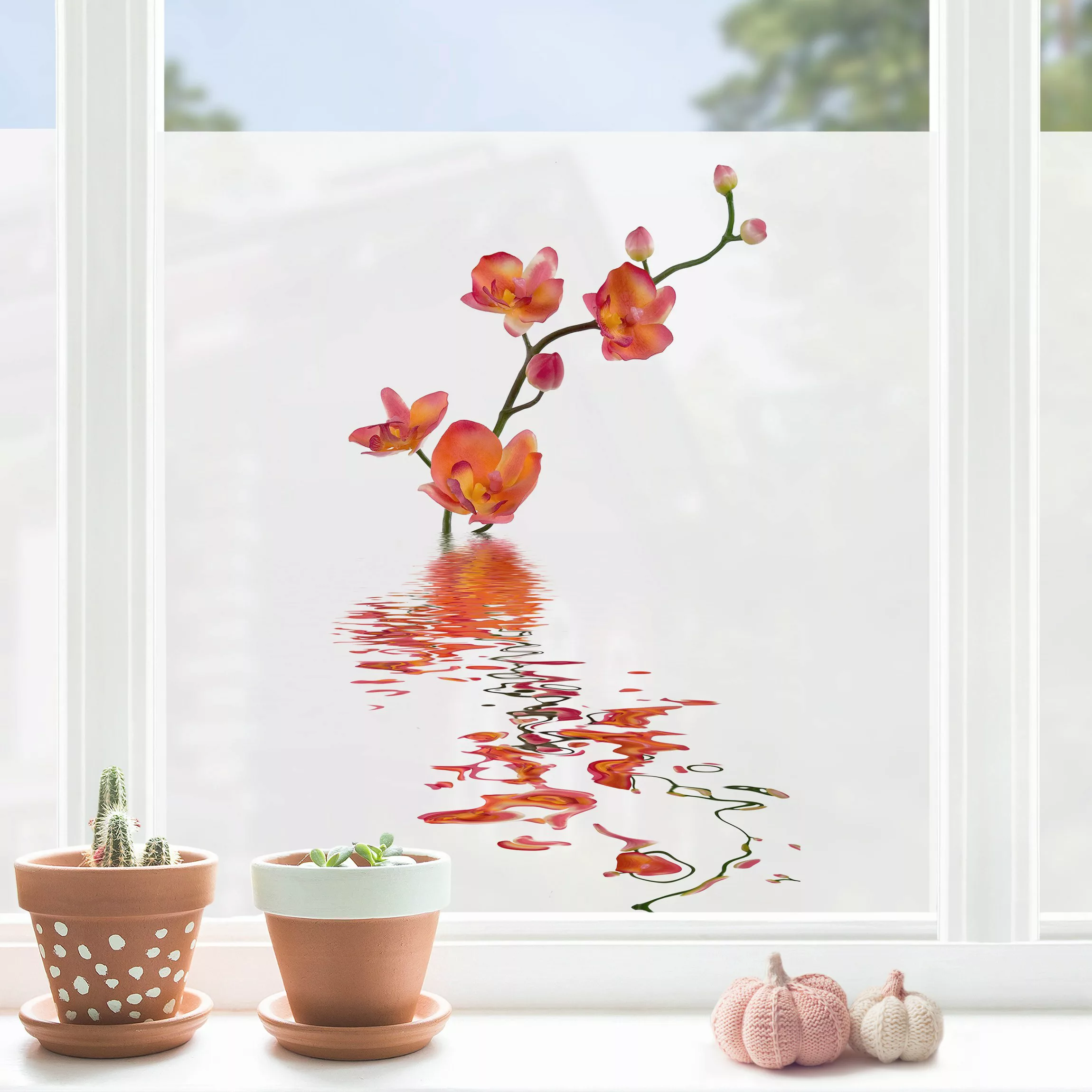 Fensterfolie Flamy Orchid Waters günstig online kaufen