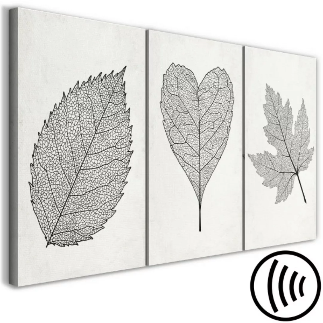 Bild auf Leinwand Minimalist Leaves (3 Parts) XXL günstig online kaufen