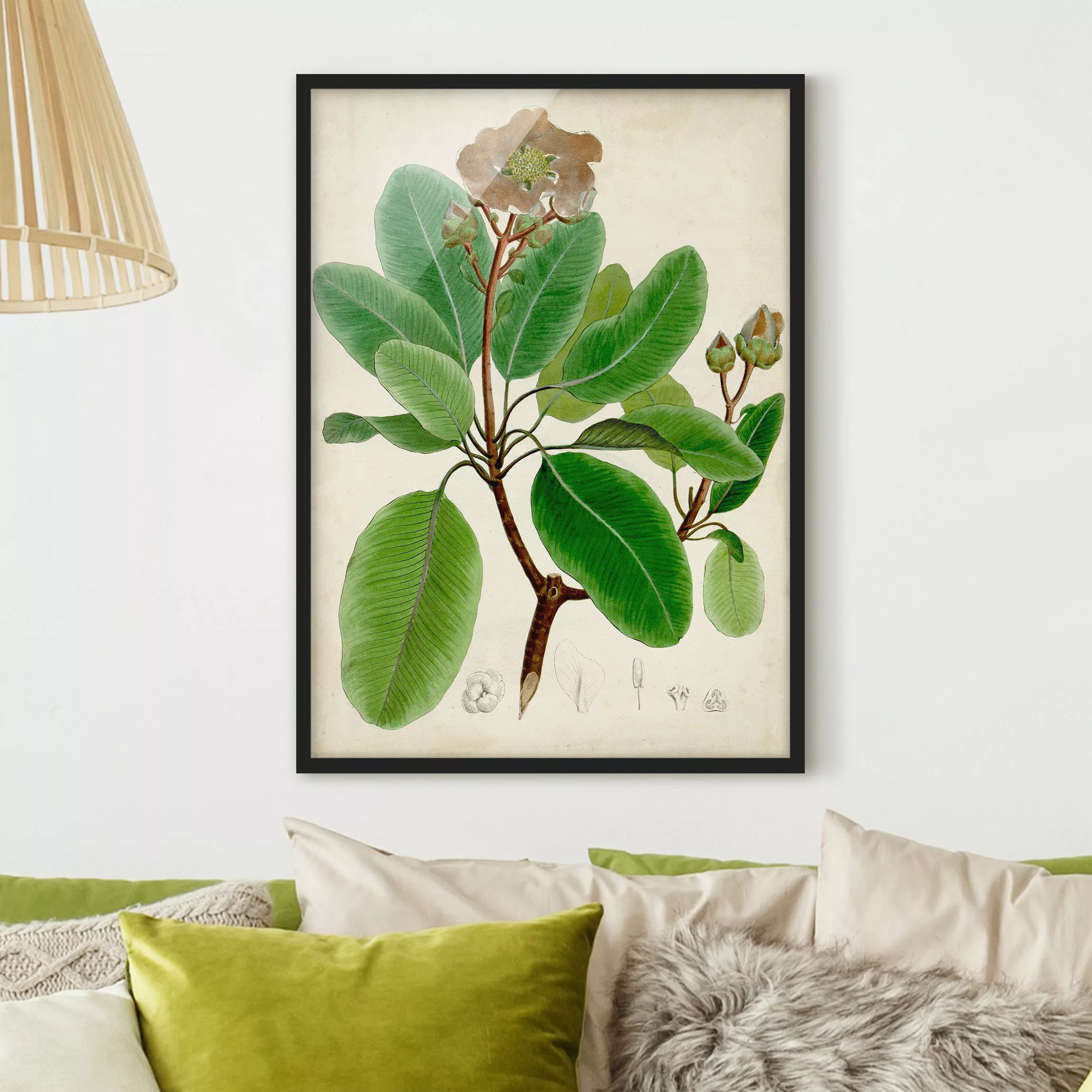 Bild mit Rahmen Blumen - Hochformat Laubbaum Schautafel VI günstig online kaufen