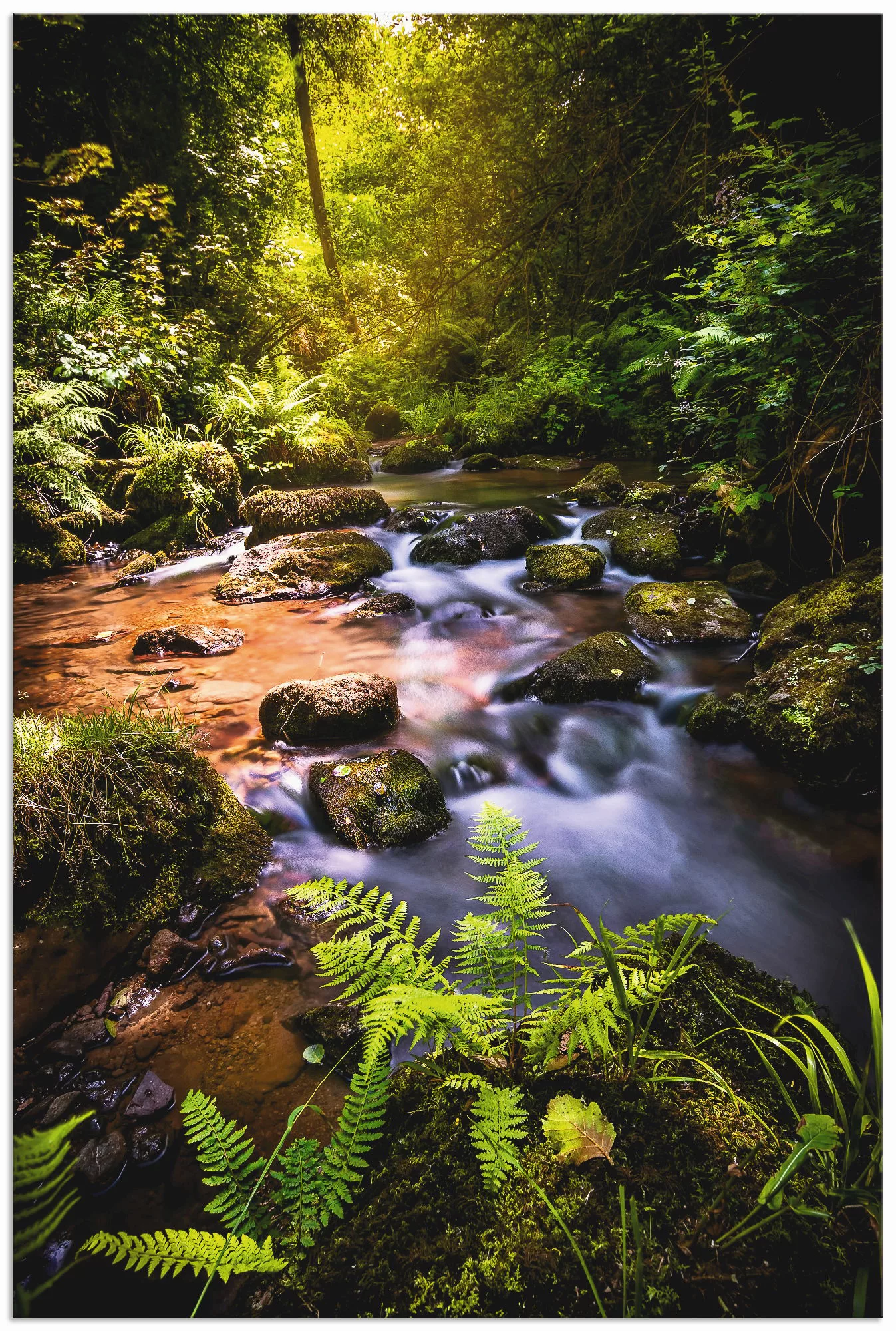 Artland Wandbild "Wildbach im Wald", Gewässer, (1 St.), als Alubild, Outdoo günstig online kaufen