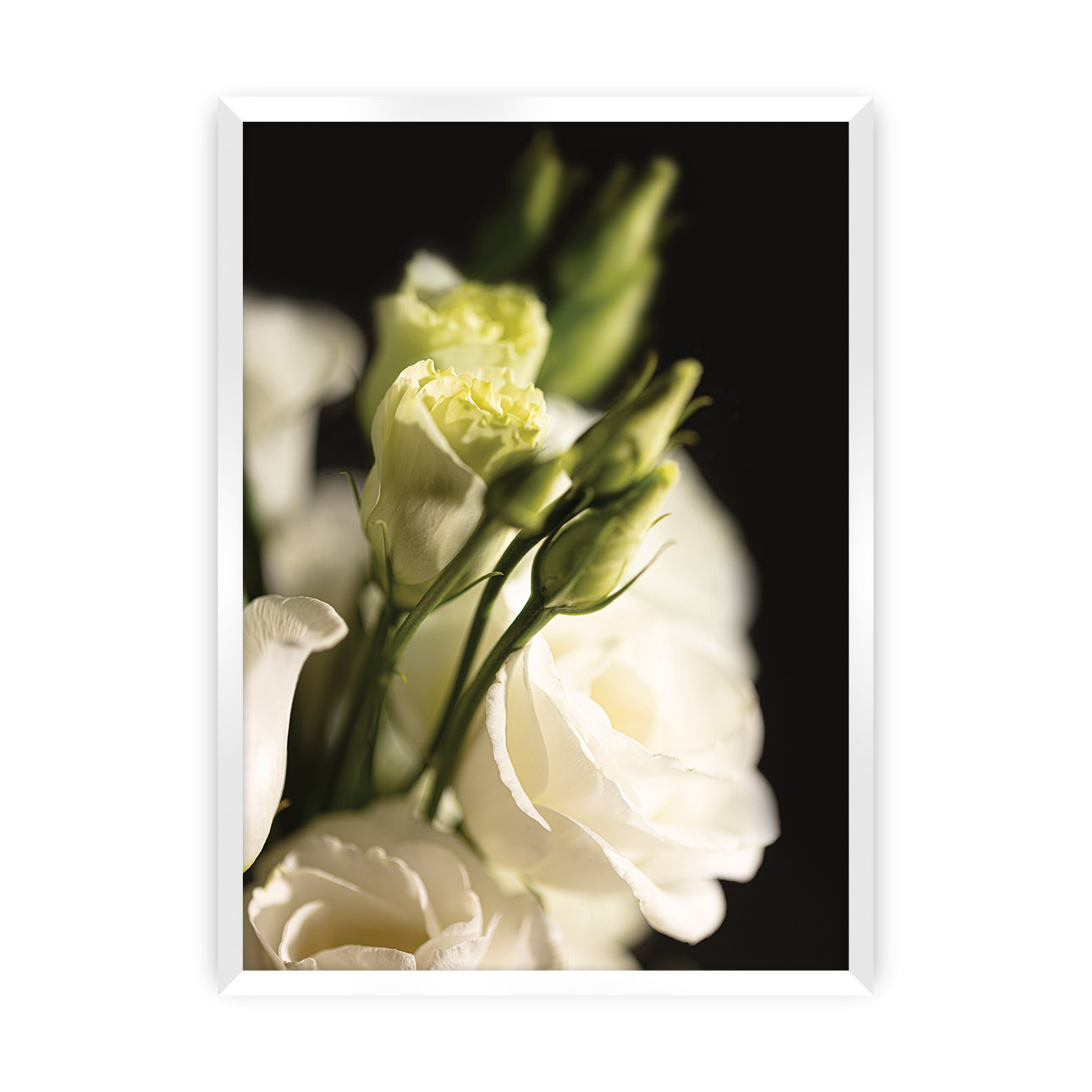 Poster Dark Flowers, 21 x  30 cm, Rahmen wählen: weiss günstig online kaufen