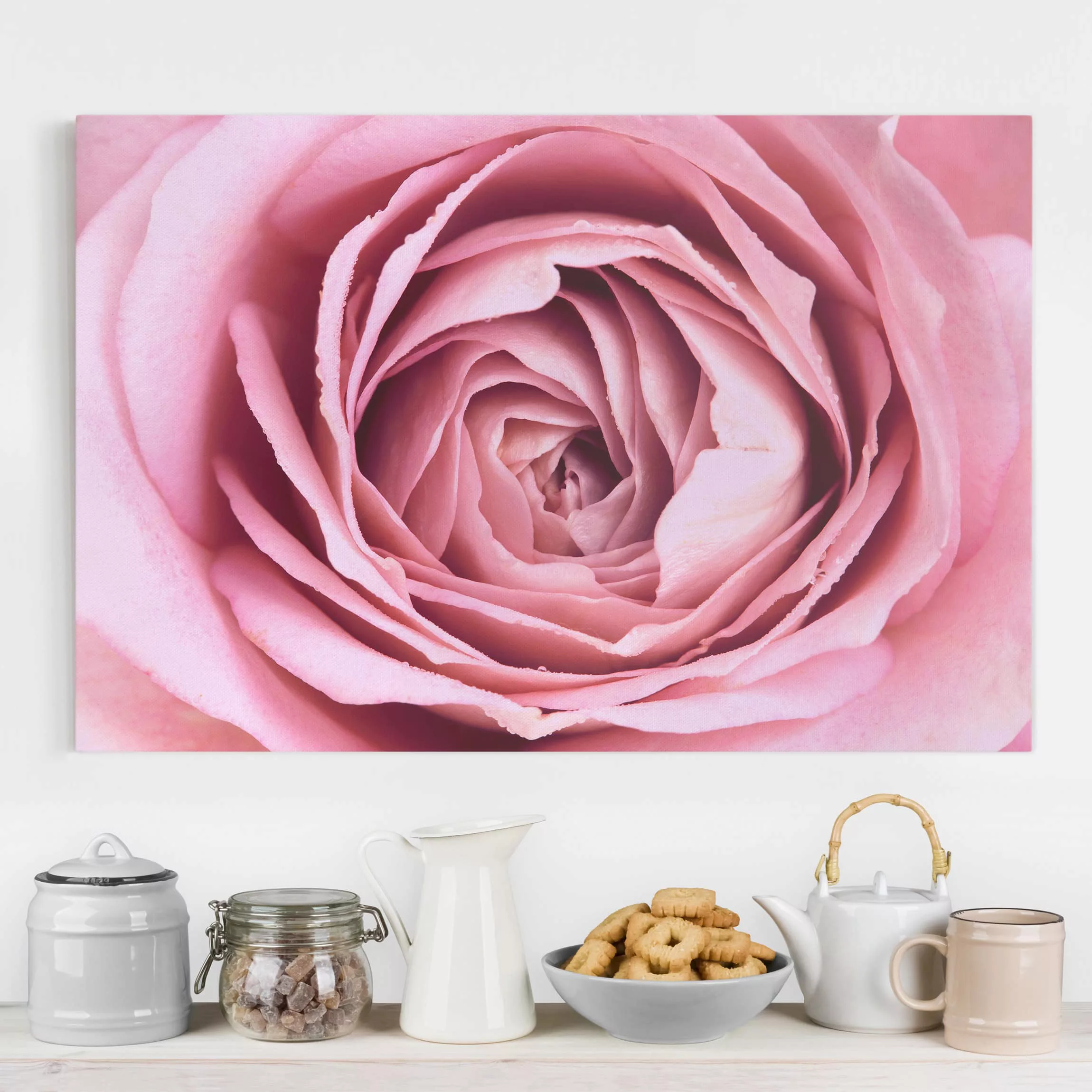 Leinwandbild Blumen - Querformat Rosa Rosenblüte günstig online kaufen