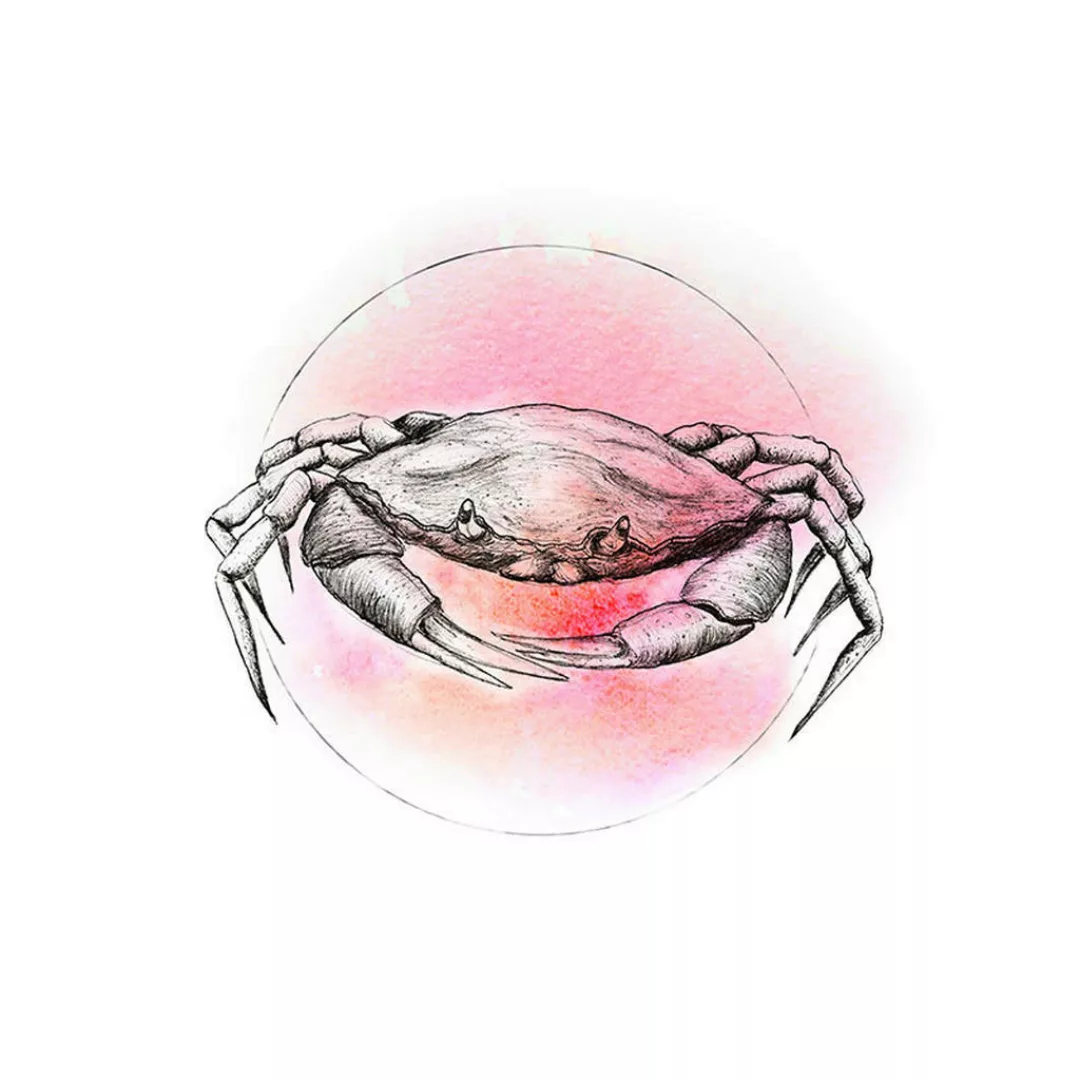 Komar Wandbild Crab Watercolor günstig online kaufen
