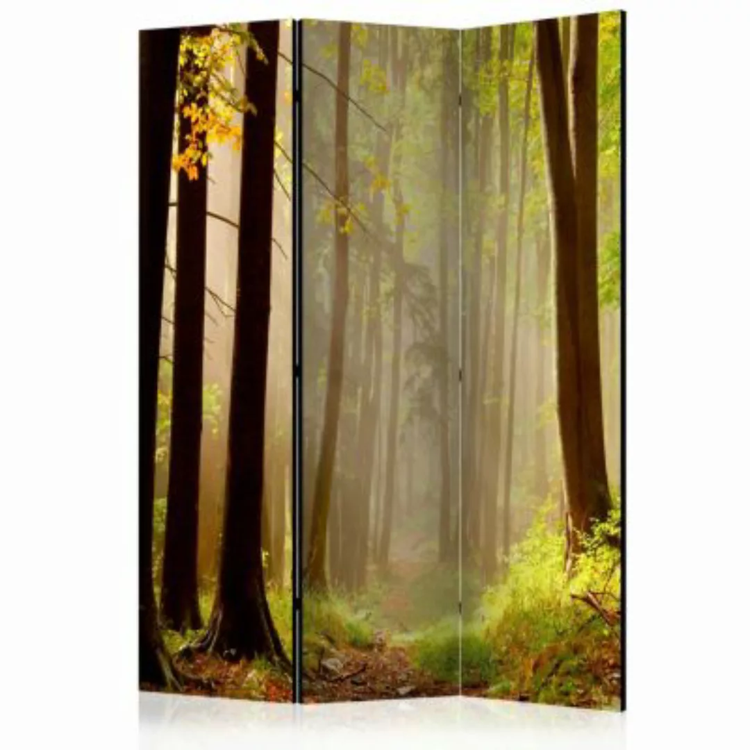 artgeist Paravent Mysterious forest path [Room Dividers] mehrfarbig Gr. 135 günstig online kaufen