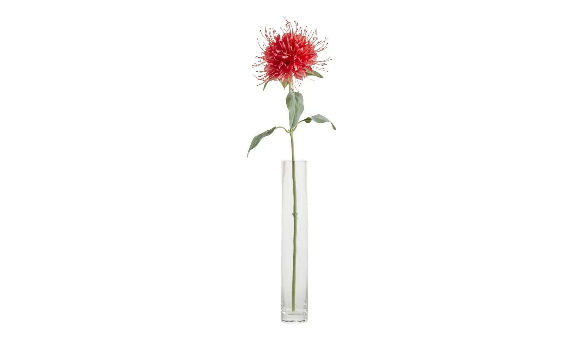 HOME STORY Kunstblume Monarda   ¦ rot ¦ Kunststoff Accessoires > Kunstblume günstig online kaufen