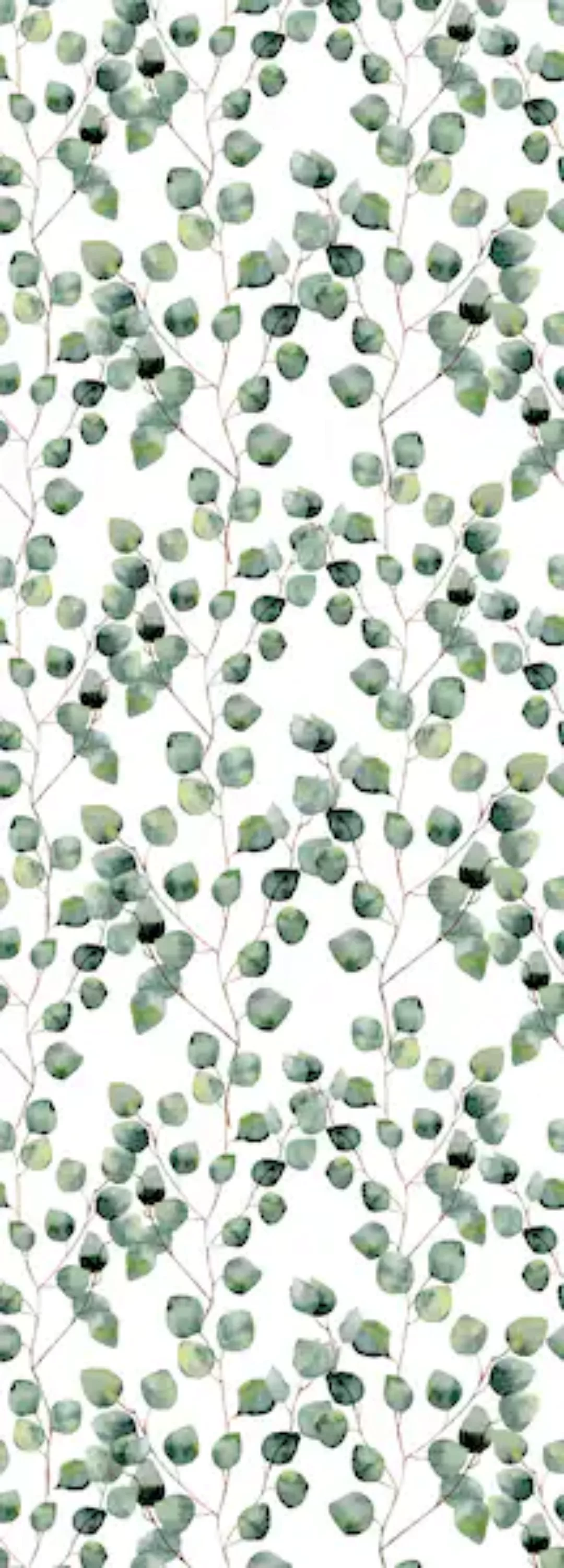 queence Vinyltapete »Blätter - Eukalyptus«, Selbstklebende Tapete 90x250cm günstig online kaufen