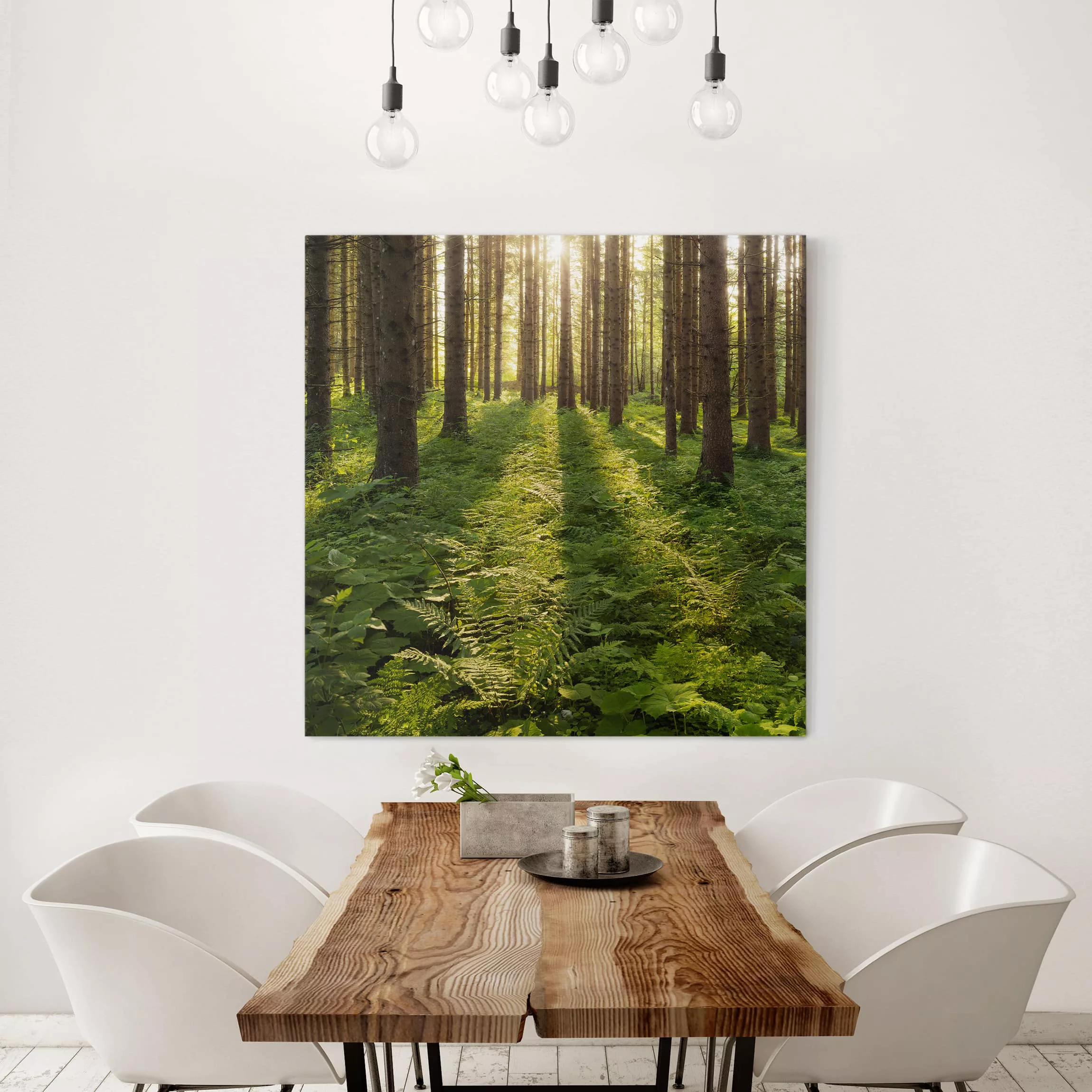 Leinwandbild Wald - Quadrat Sonnenstrahlen in grünem Wald günstig online kaufen