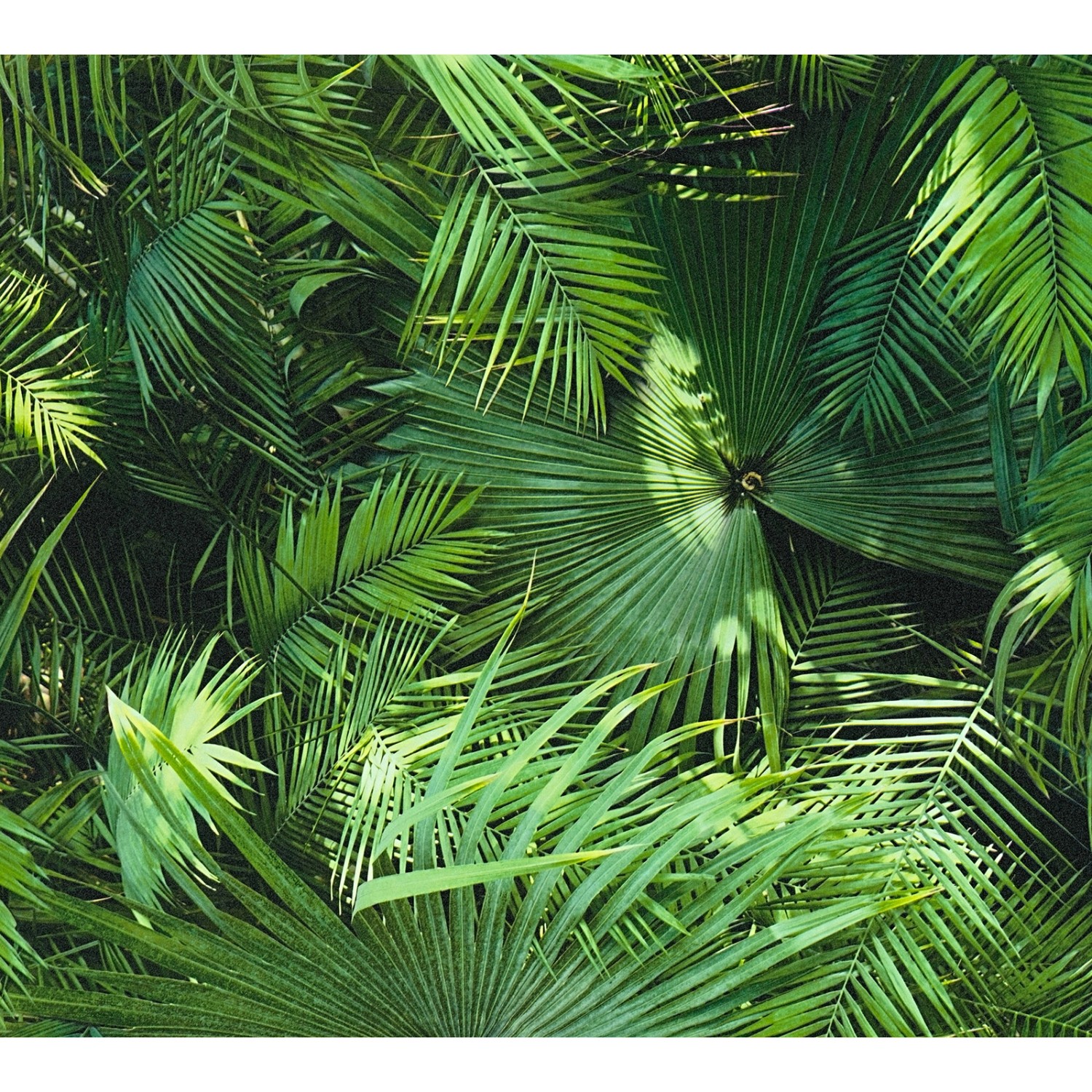Bricoflor Dschungel Tapeten Panel Grüne Vliestapete mit Palmenblättern für günstig online kaufen
