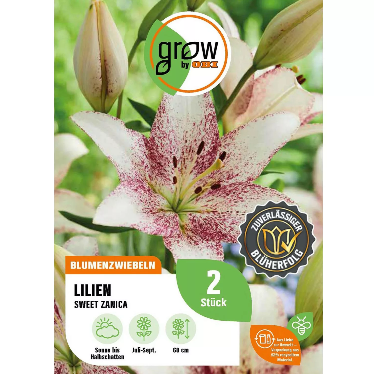 GROW by OBI Lilie Asiatisch Sweet Zanica Höhe ca. 60 cm Lilium asatic günstig online kaufen