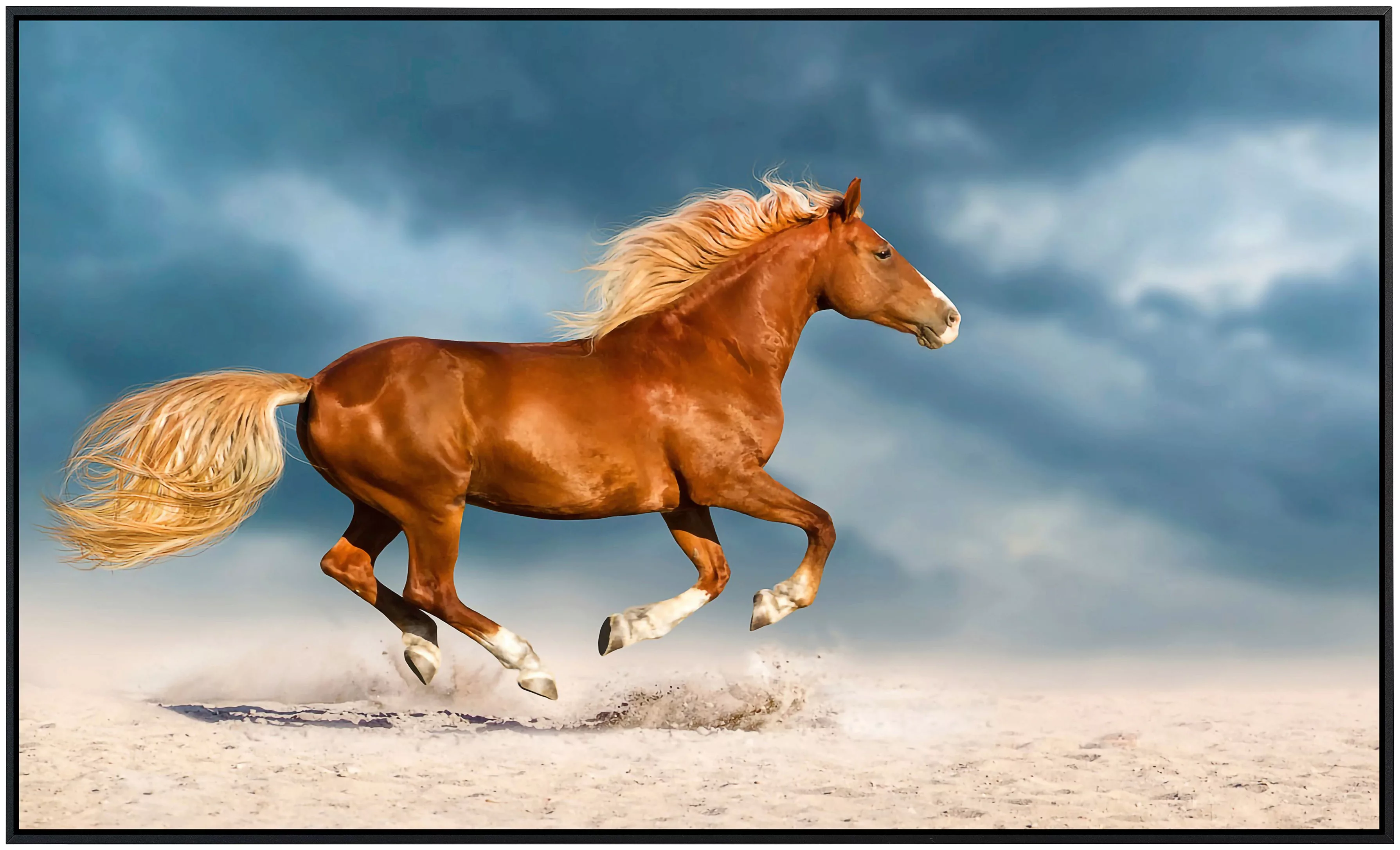 Papermoon Infrarotheizung »Pferd« günstig online kaufen