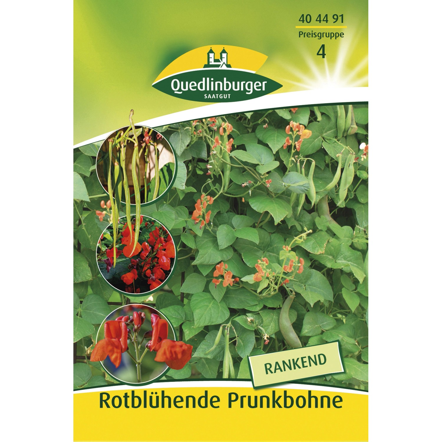 Quedlinburger Rotblühende Prunkbohnen Rankend günstig online kaufen