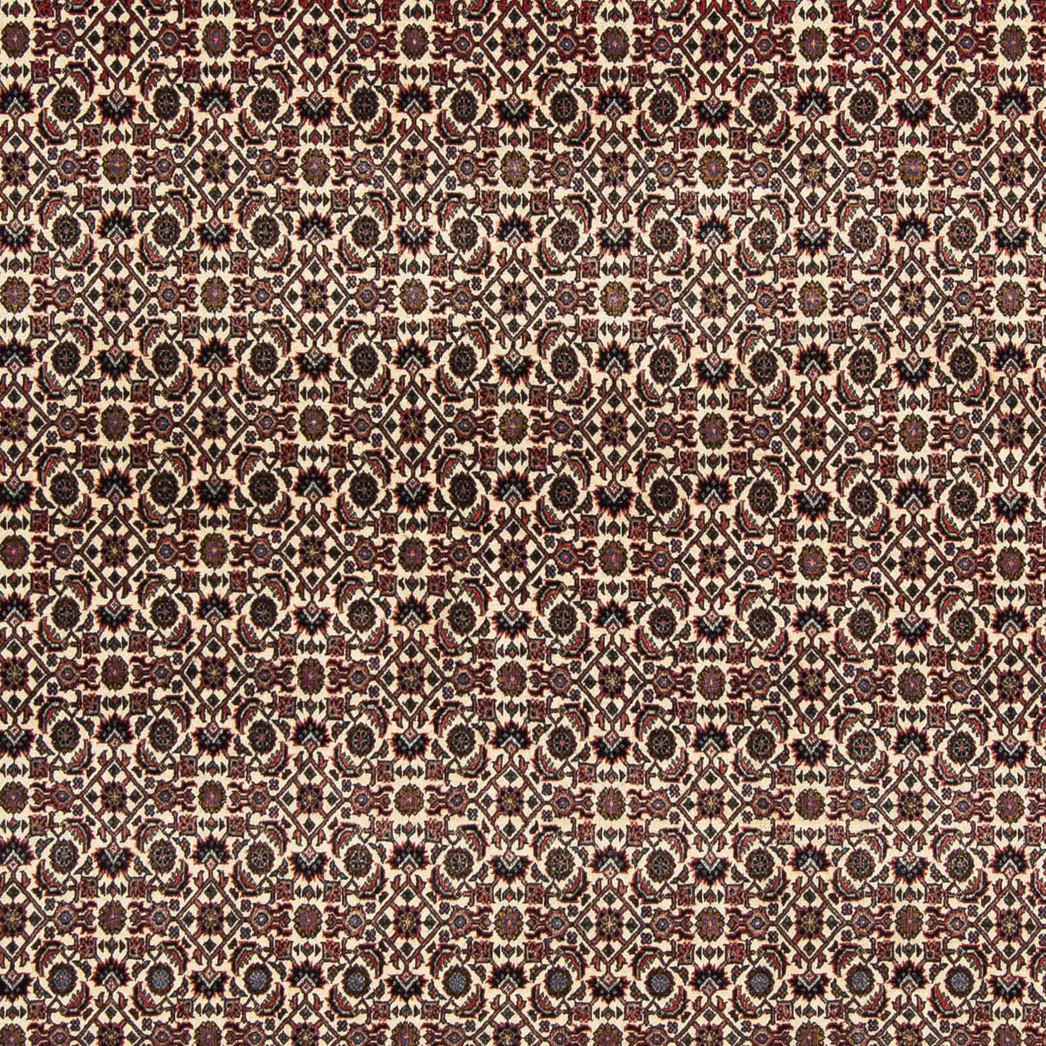 morgenland Orientteppich »Perser - Bidjar quadratisch - 204 x 201 cm - dunk günstig online kaufen