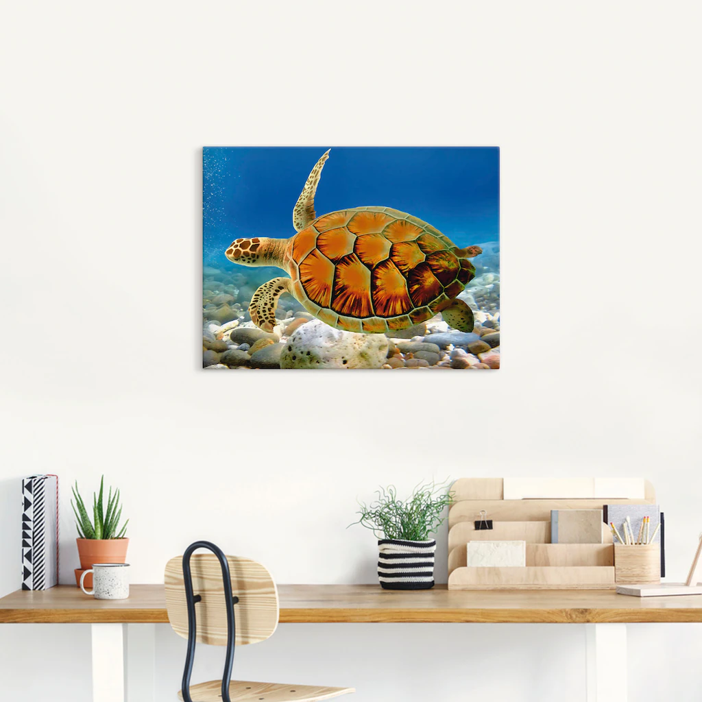 Artland Wandbild "Schildkröte", Wassertiere, (1 St.), als Leinwandbild, Pos günstig online kaufen