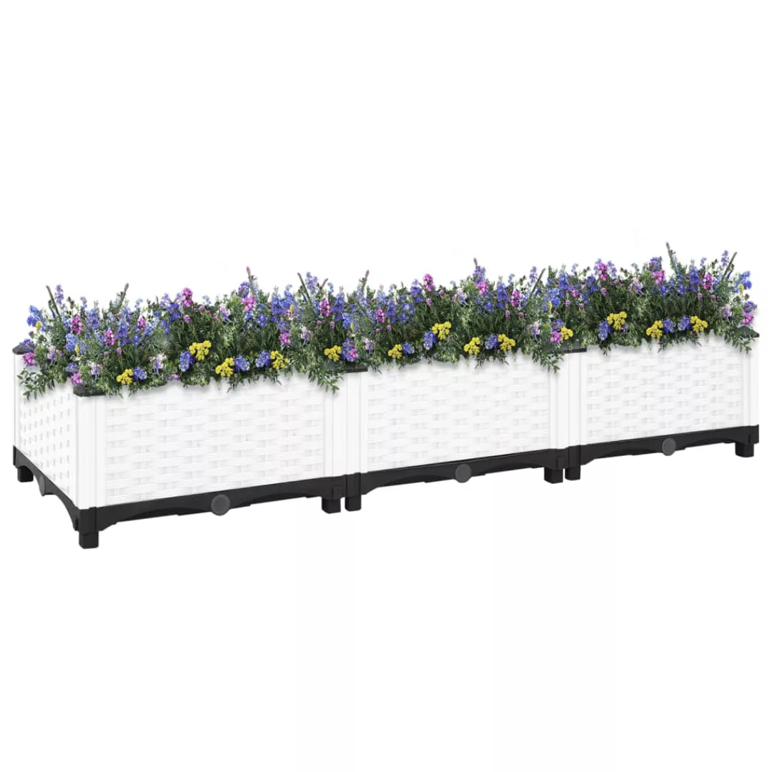 Vidaxl Hochbeet 120x40x23 Cm Polypropylen günstig online kaufen