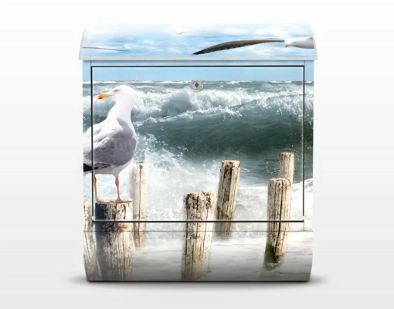 Briefkasten Natur & Landschaft No.YK3 Absolut Sylt günstig online kaufen