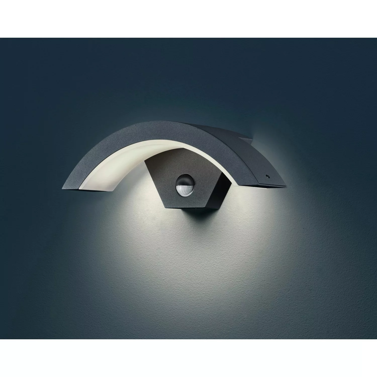 TRIO Leuchten LED Außen-Wandleuchte "OHIO", 1 flammig, Leuchtmittel LED-Mod günstig online kaufen
