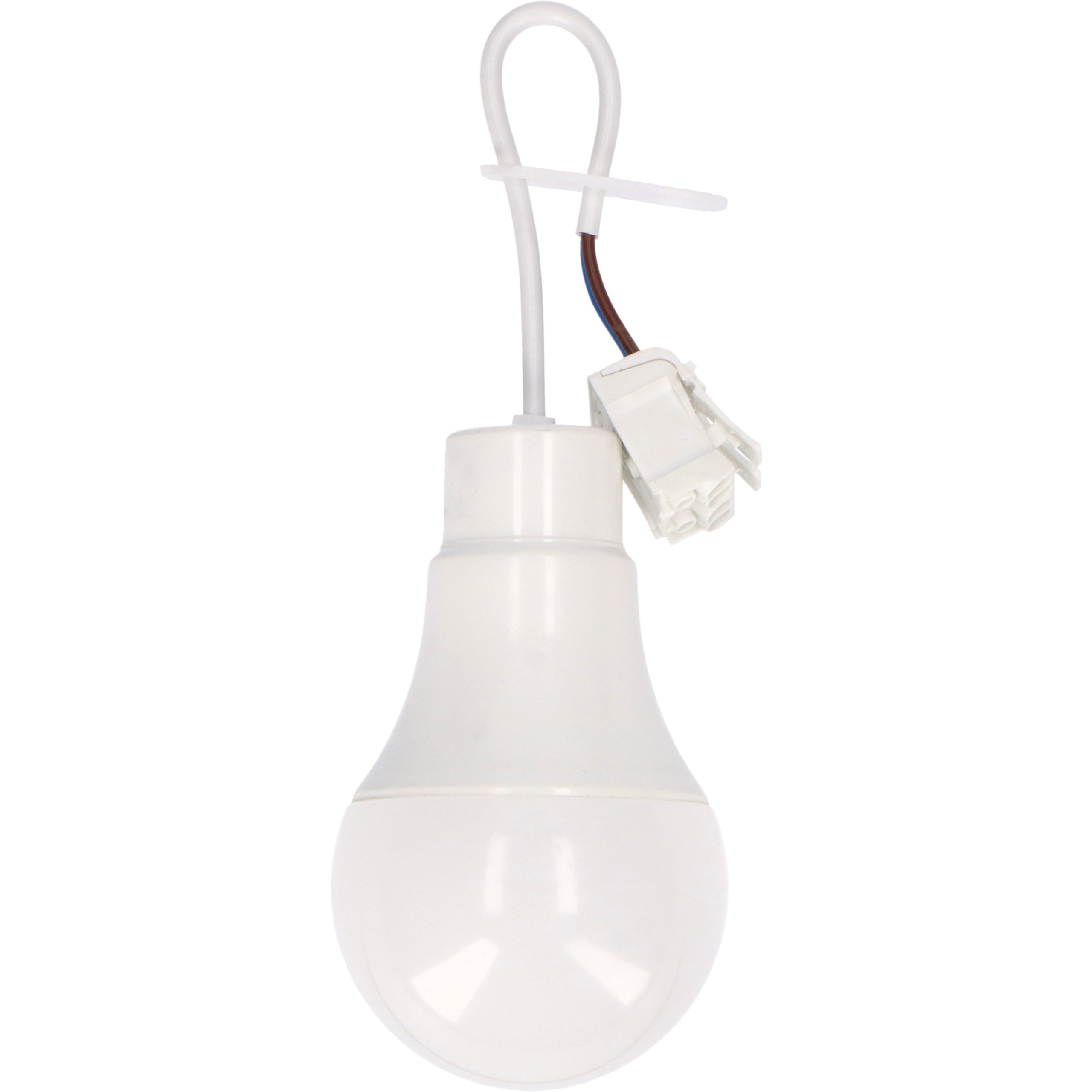 LED's light LED Deckenleuchte 2900062 Renovierlampe, günstig online kaufen