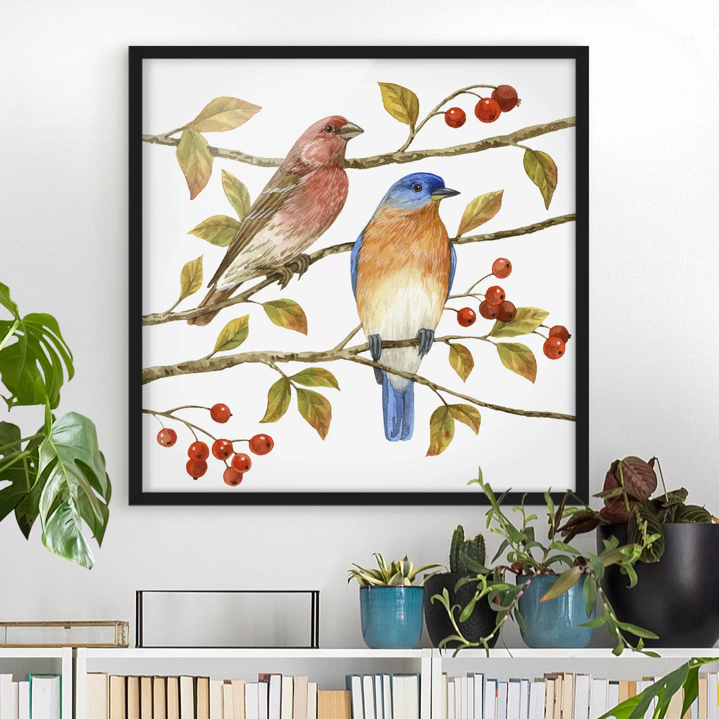 Bild mit Rahmen Tiere - Quadrat Vögel und Beeren - Hüttensänger günstig online kaufen