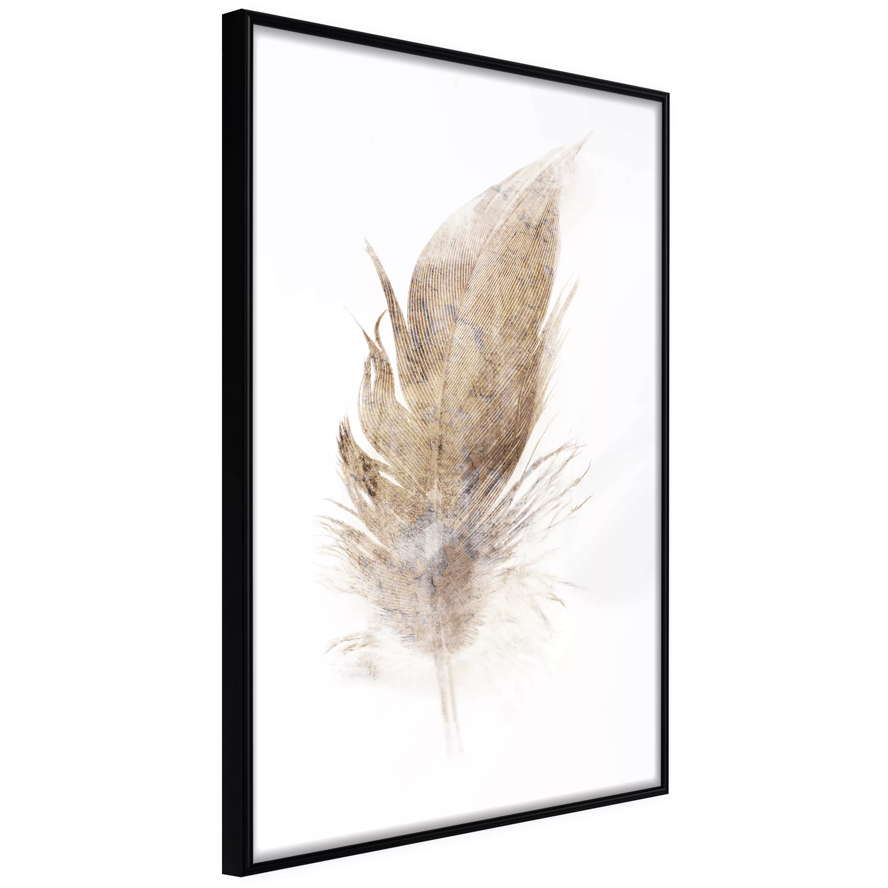 Poster - Lost Feather (beige) günstig online kaufen
