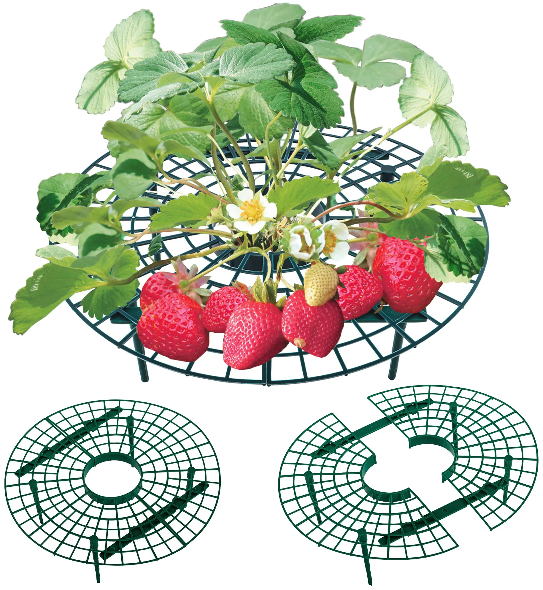 UPP Rankhilfe "Frucht-Reifer", (10 St.), für Erdbeeren, Salat, Tomaten günstig online kaufen