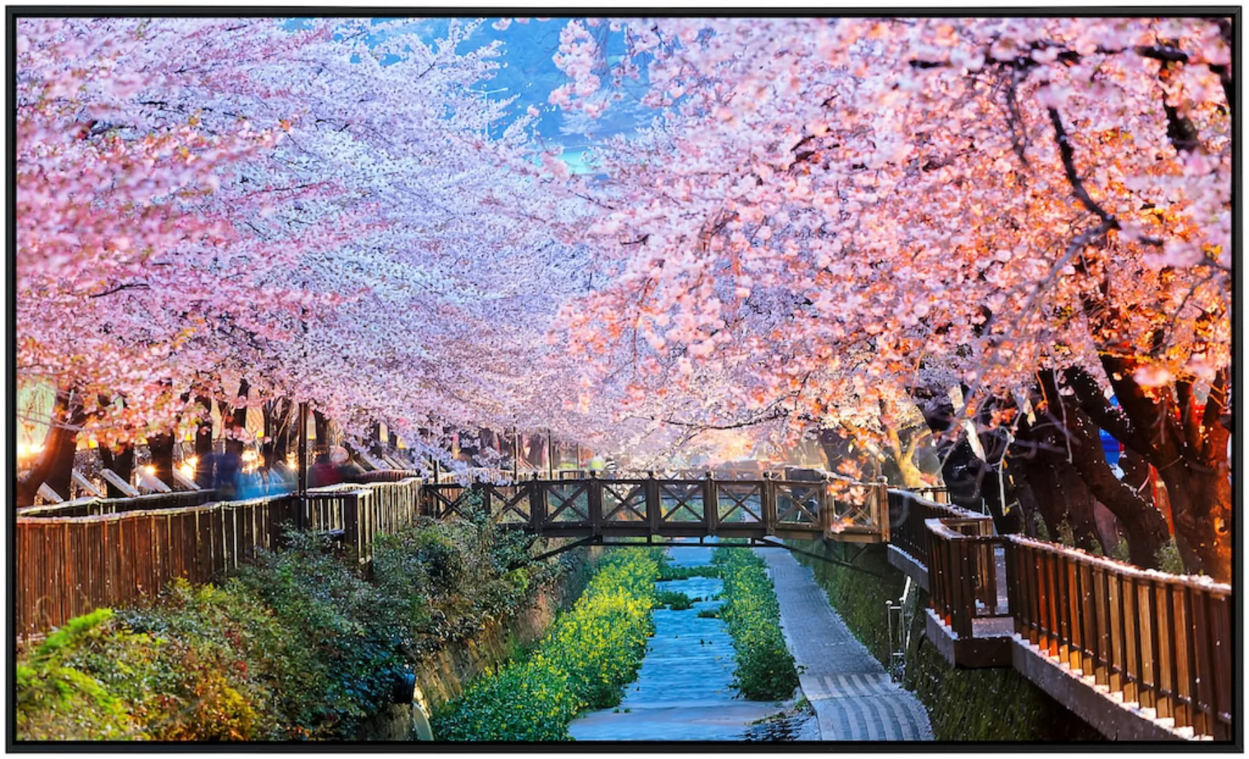 Papermoon Infrarotheizung »Kirschblüten Busan City«, sehr angenehme Strahlu günstig online kaufen