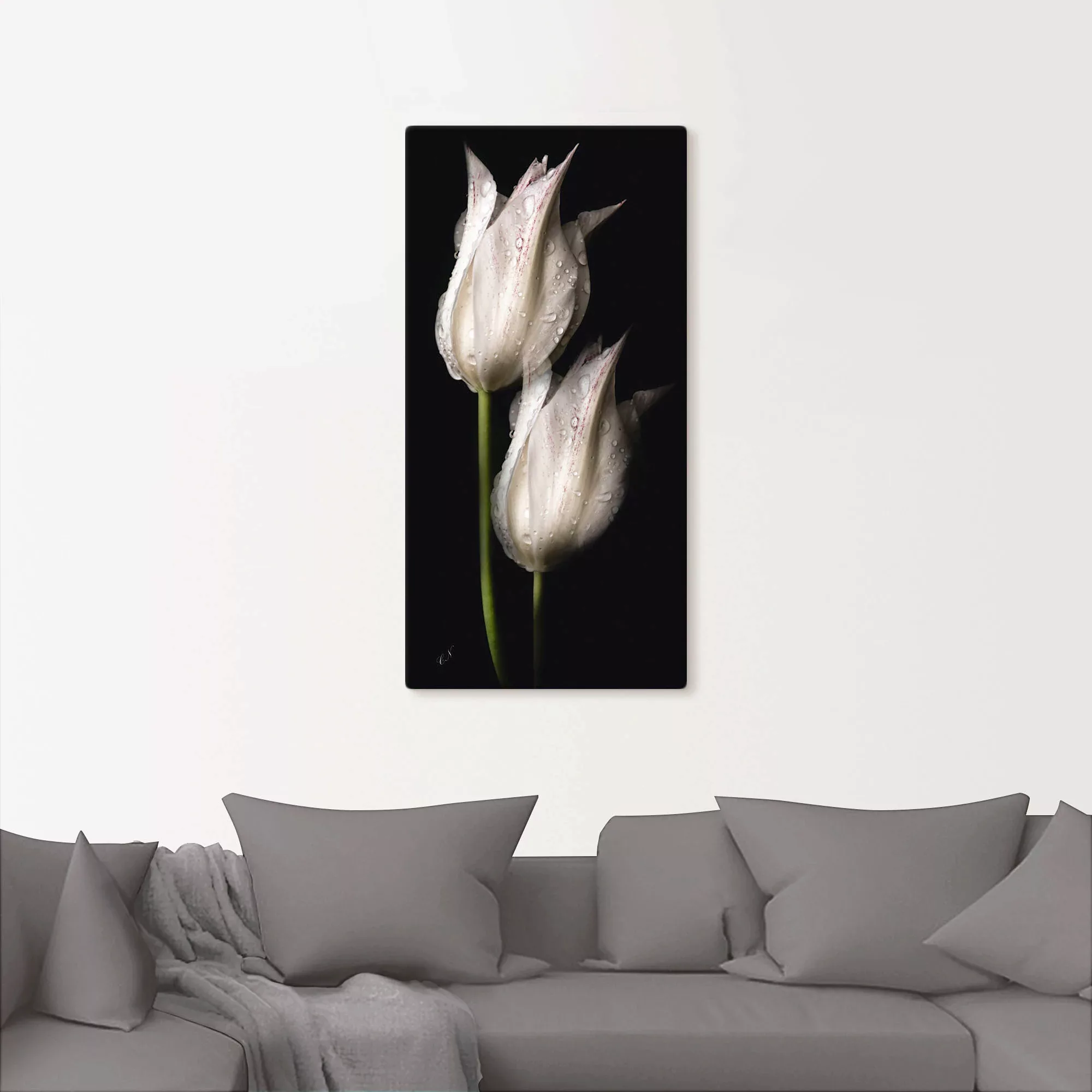 Artland Wandbild "Weiße Tulpen in der Nacht", Blumenbilder, (1 St.), als Al günstig online kaufen