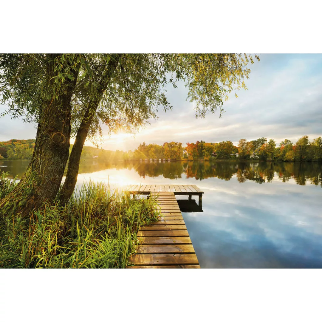 Komar Fototapete »Fototapete«, bedruckt, Vlies Fototapete - Picnic - Größe günstig online kaufen