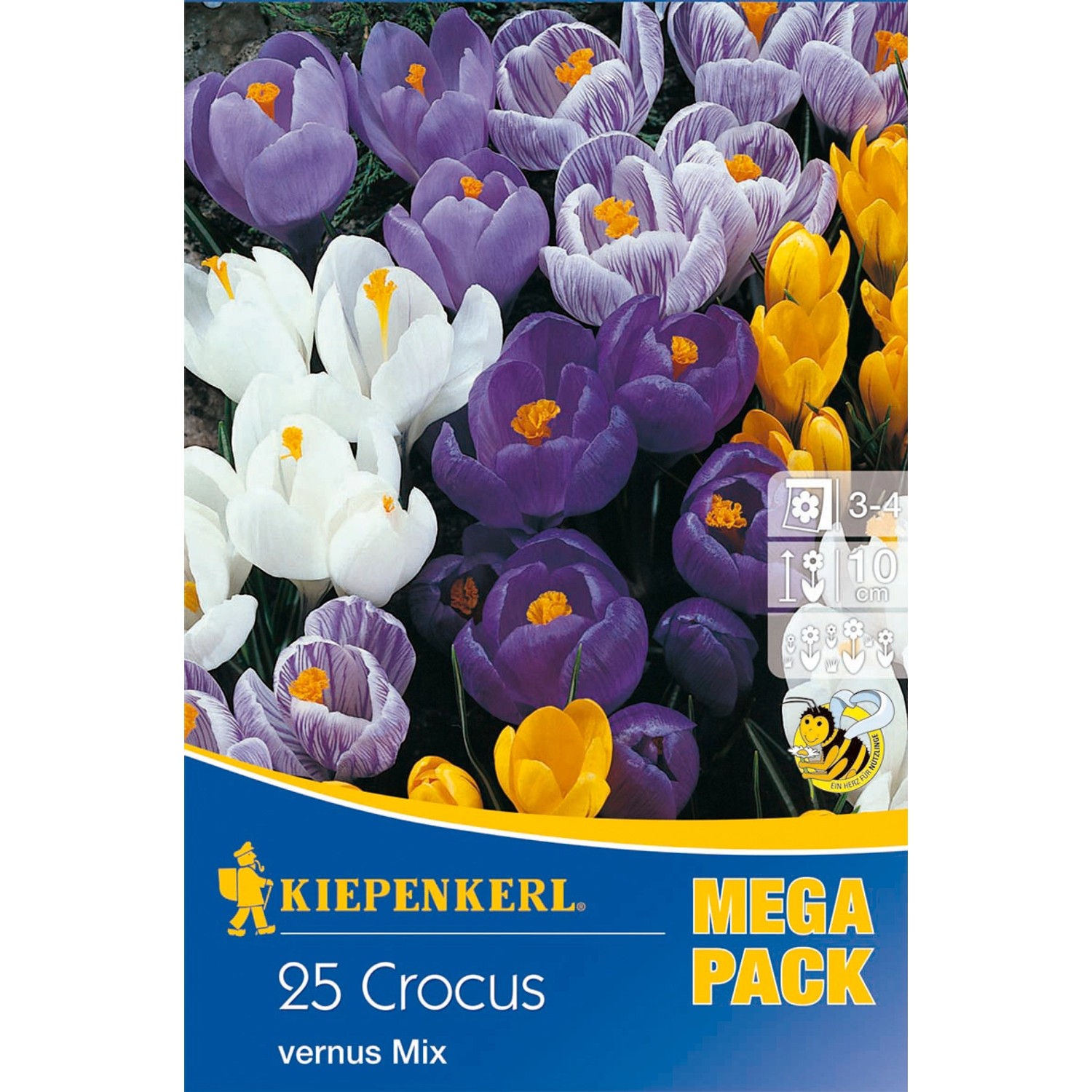 Kiepenkerl Blumenzwiebeln Krokusse Gartenkrokus-Mix 25 Stück Crocus vernus günstig online kaufen