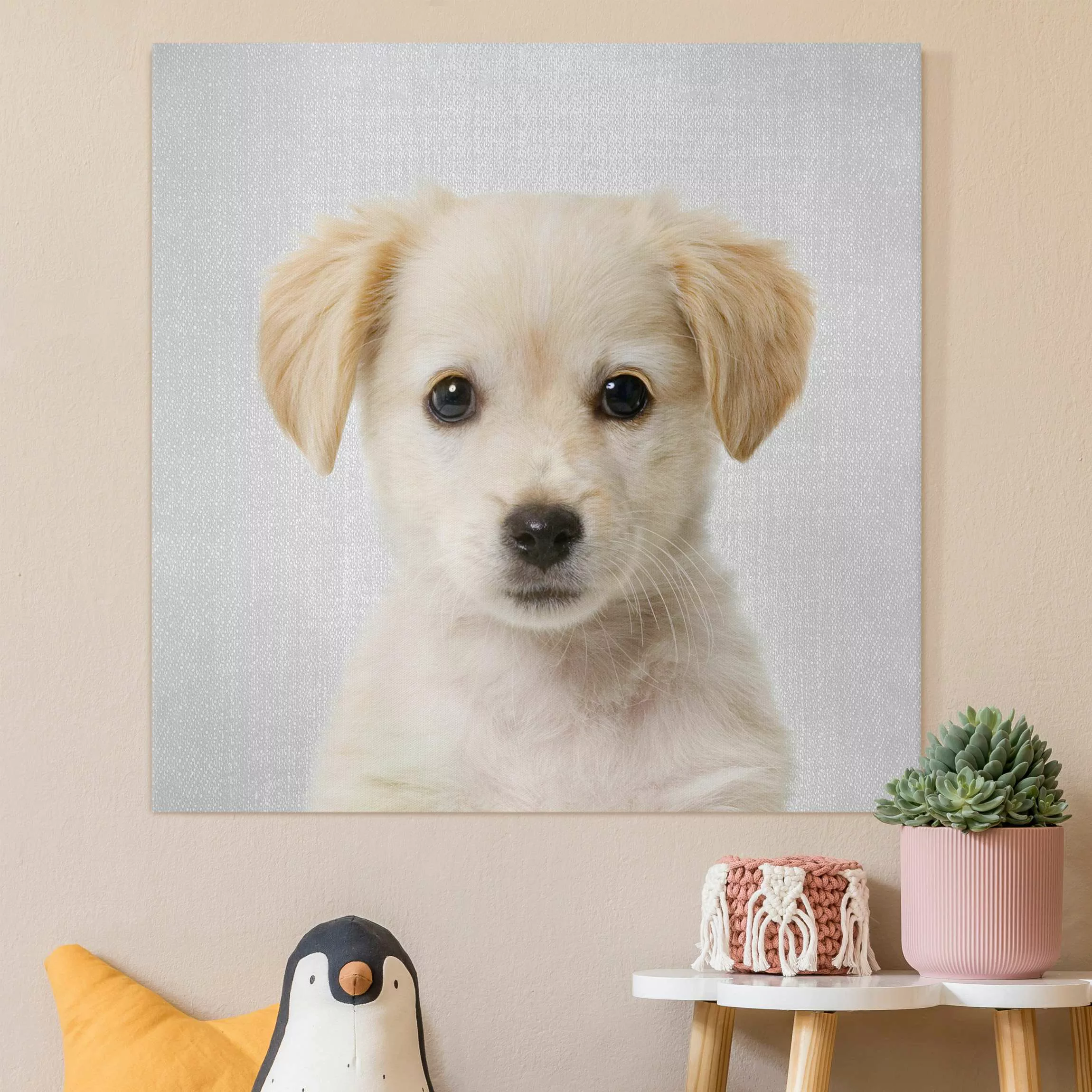 Leinwandbild Baby Golden Retriever Gizmo günstig online kaufen