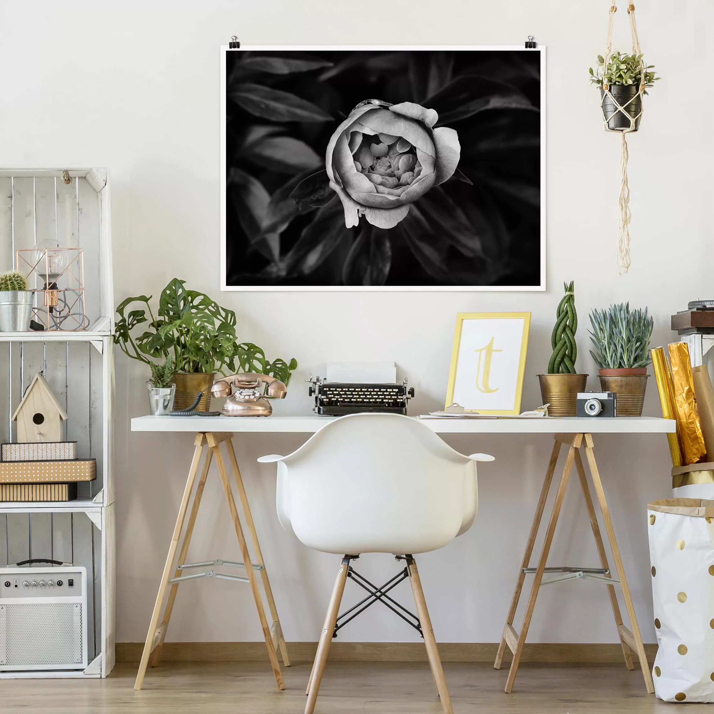 Poster Blumen - Querformat Pfingstrosenblüte vor Blättern Schwarz Weiß günstig online kaufen