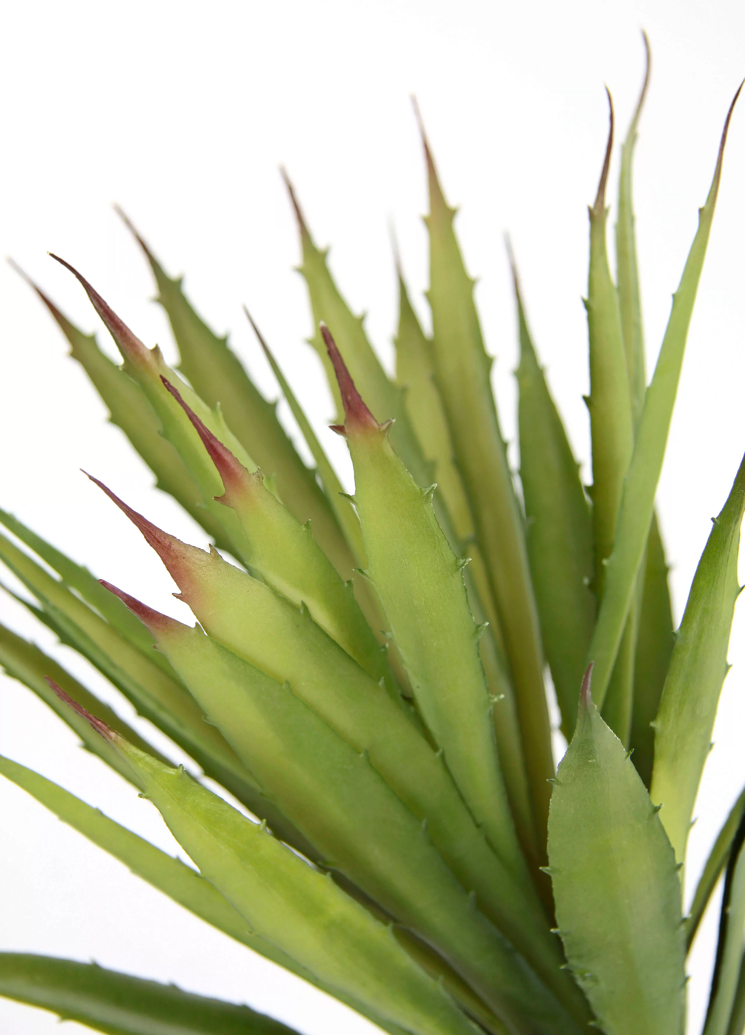I.GE.A. Kunstpflanze "Künstliche Agave Aloe Vera im Topf Kunstpflanze", Kak günstig online kaufen