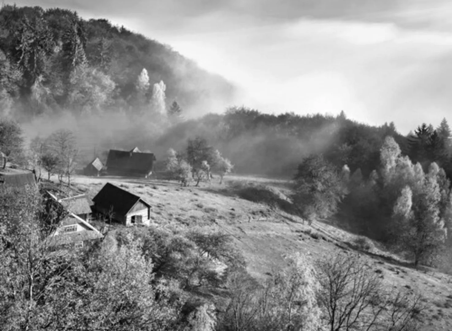 Papermoon Fototapete »Landschaft Schwarz & Weiß« günstig online kaufen