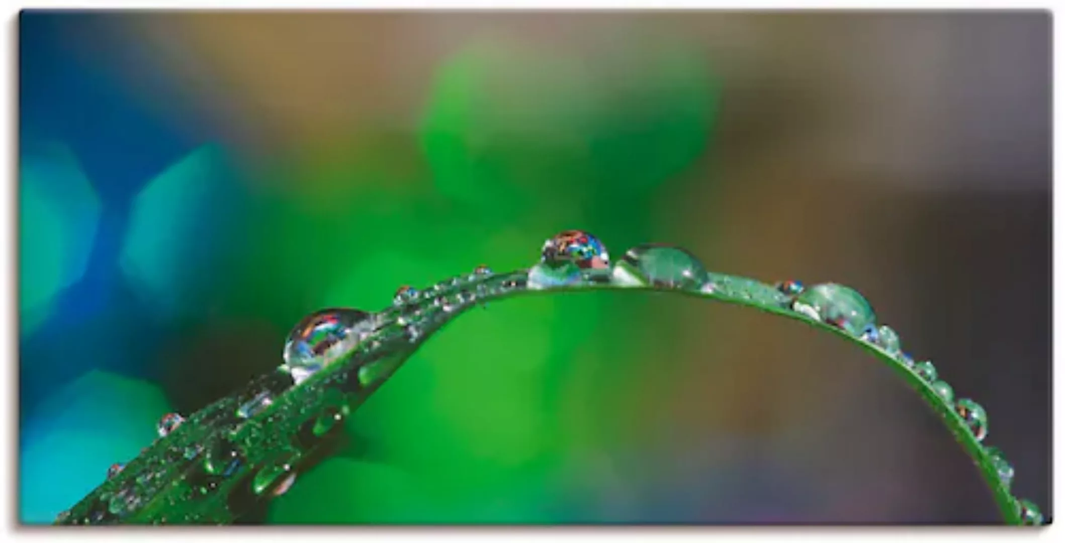 Artland Leinwandbild »Wassertropfen IV«, Gräser, (1 St.), auf Keilrahmen ge günstig online kaufen