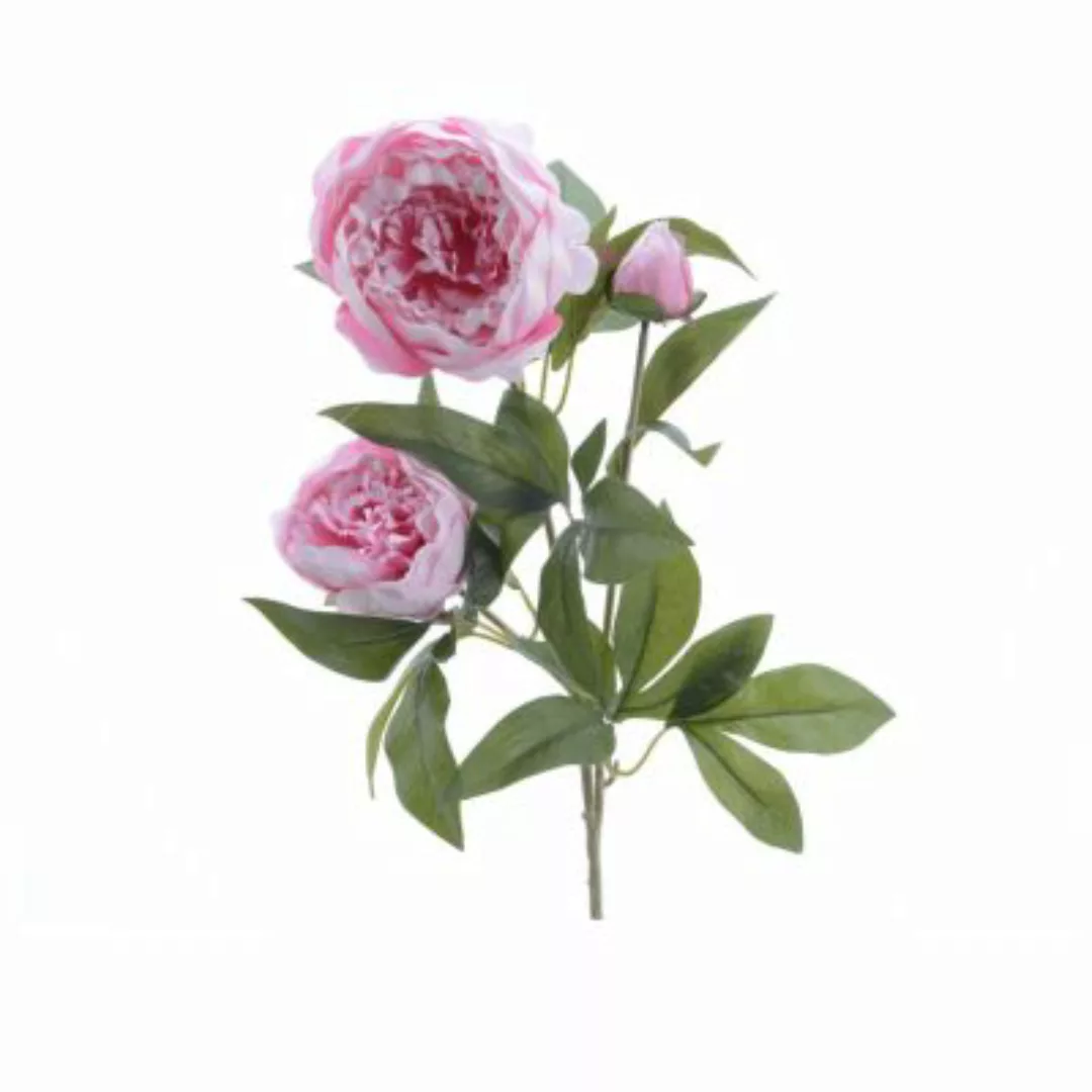 MARELIDA Pfingstrose mit 2 Blüten und Knospe - H: 75cm rosa günstig online kaufen