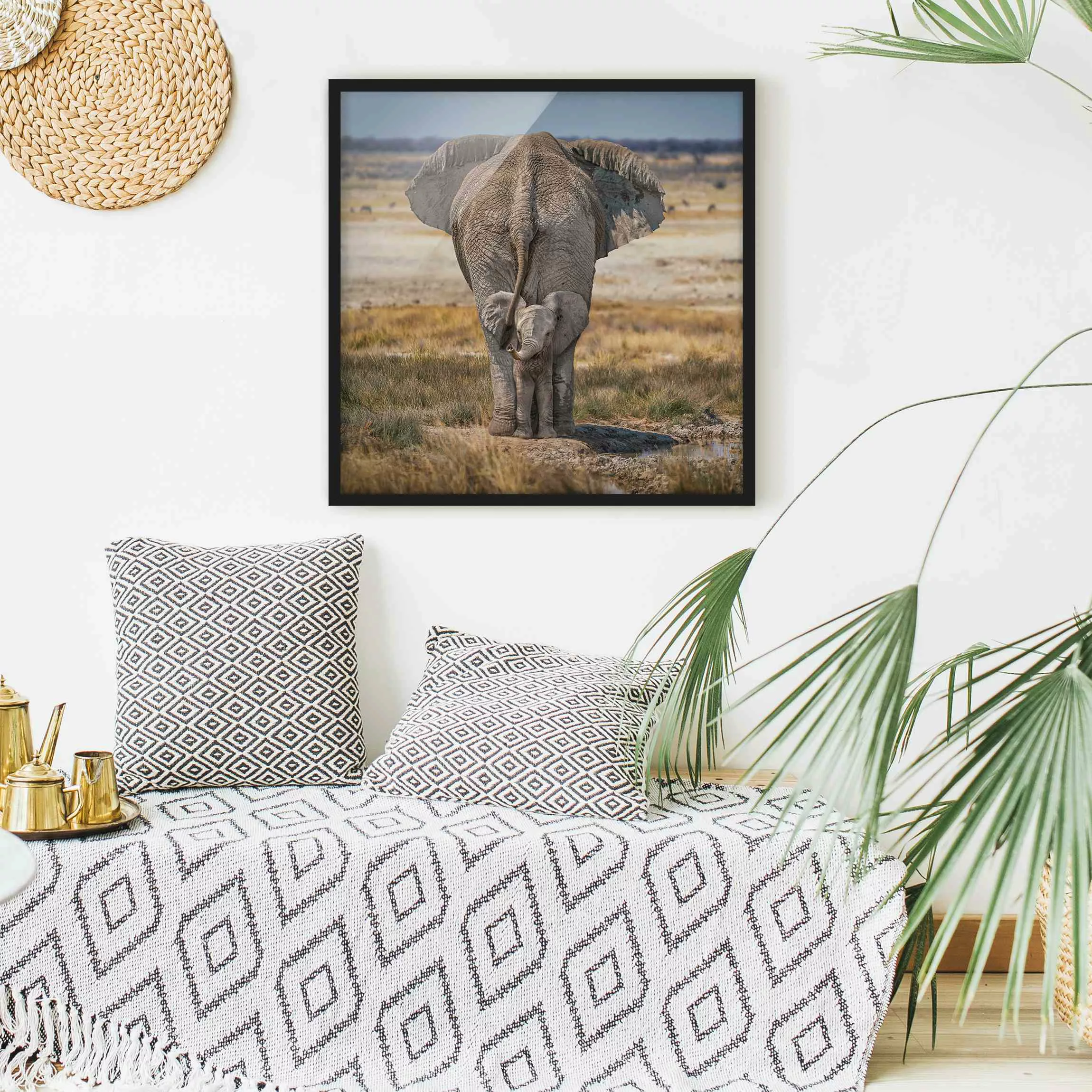 Bild mit Rahmen Frecher Elefant günstig online kaufen