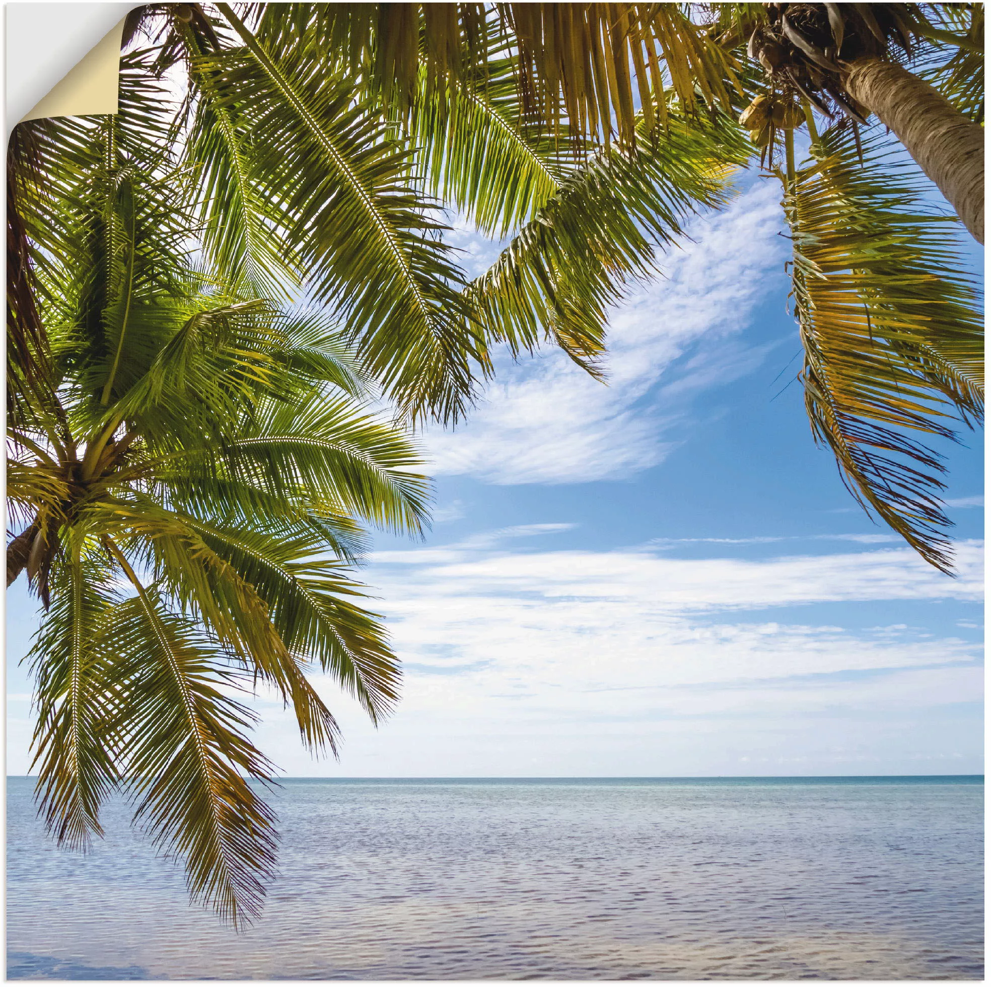 Artland Wandfolie "Florida Keys Das Meer", Bäume, (1 St.), selbstklebend günstig online kaufen