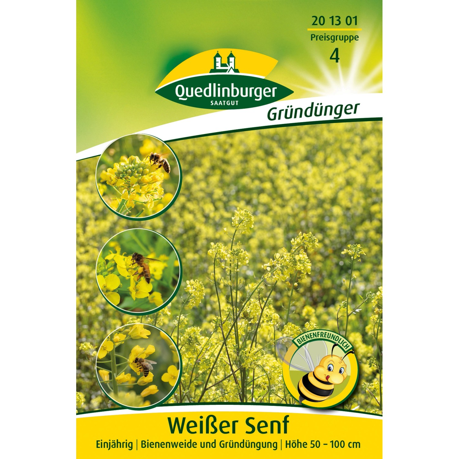 Quedlinburger Senf weißer Gelbsenf Großpackung günstig online kaufen