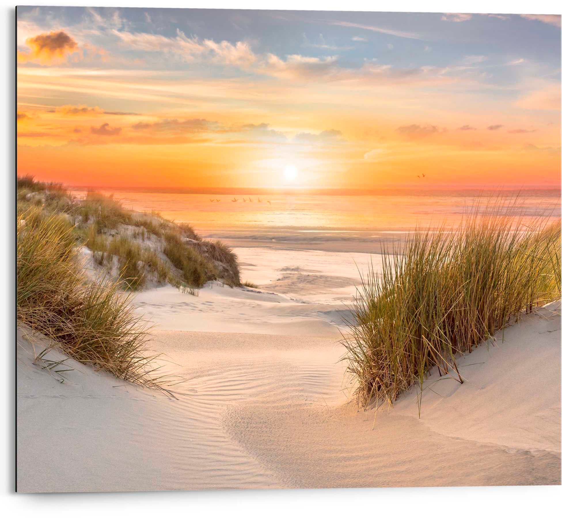 Reinders Deco-Panel "Ameland" günstig online kaufen