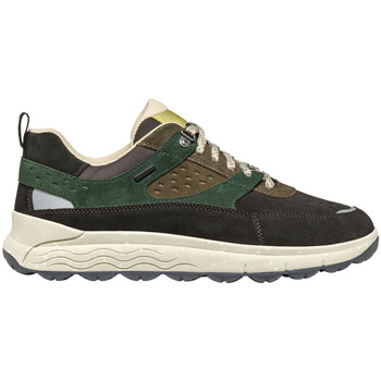 Geox  Sneaker U Spherica 4X4 B Abx sneaker günstig online kaufen