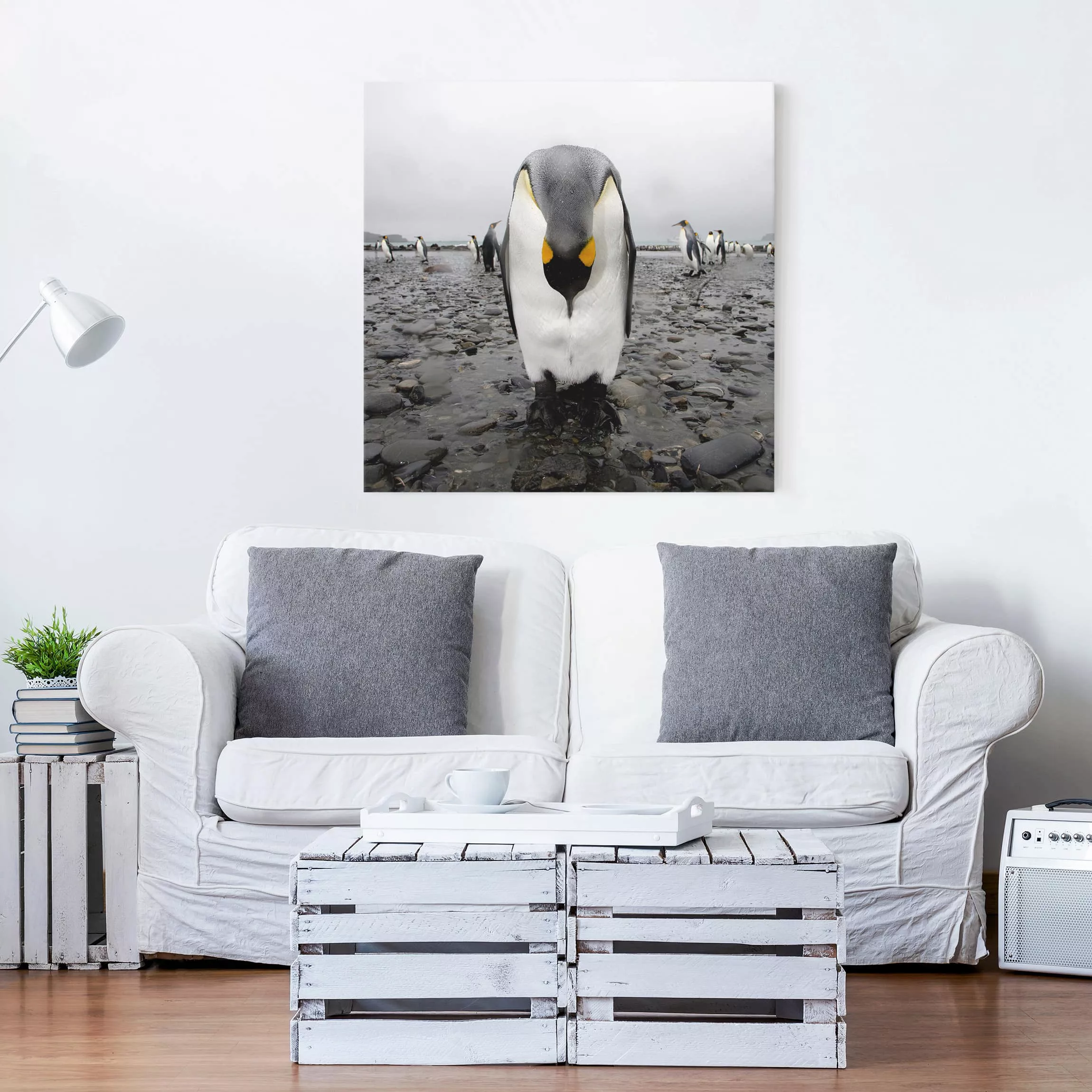 Leinwandbild Tiere - Quadrat Pinguin günstig online kaufen
