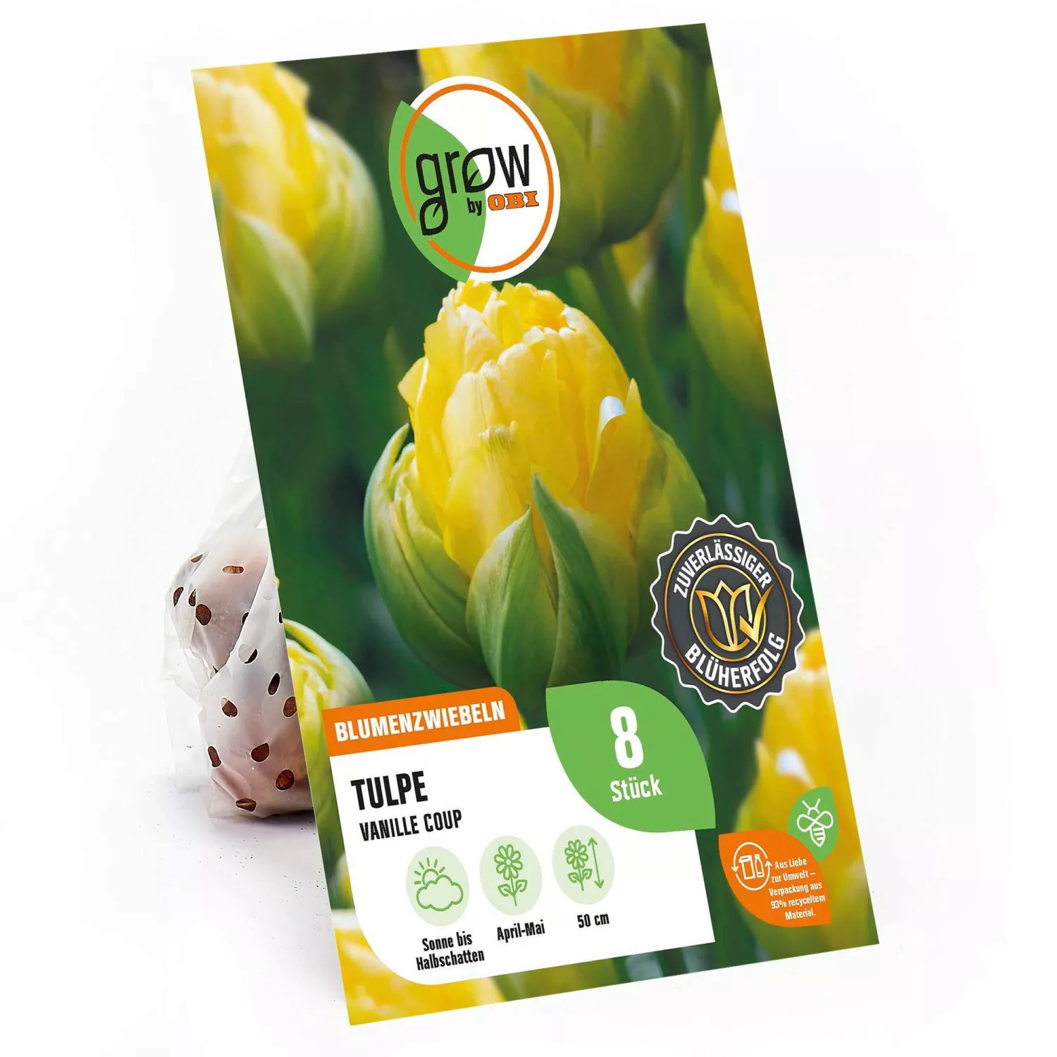 GROW by OBI Tulpe Vanille Coupe Gelb-Grün 8 Stück Tulipa günstig online kaufen